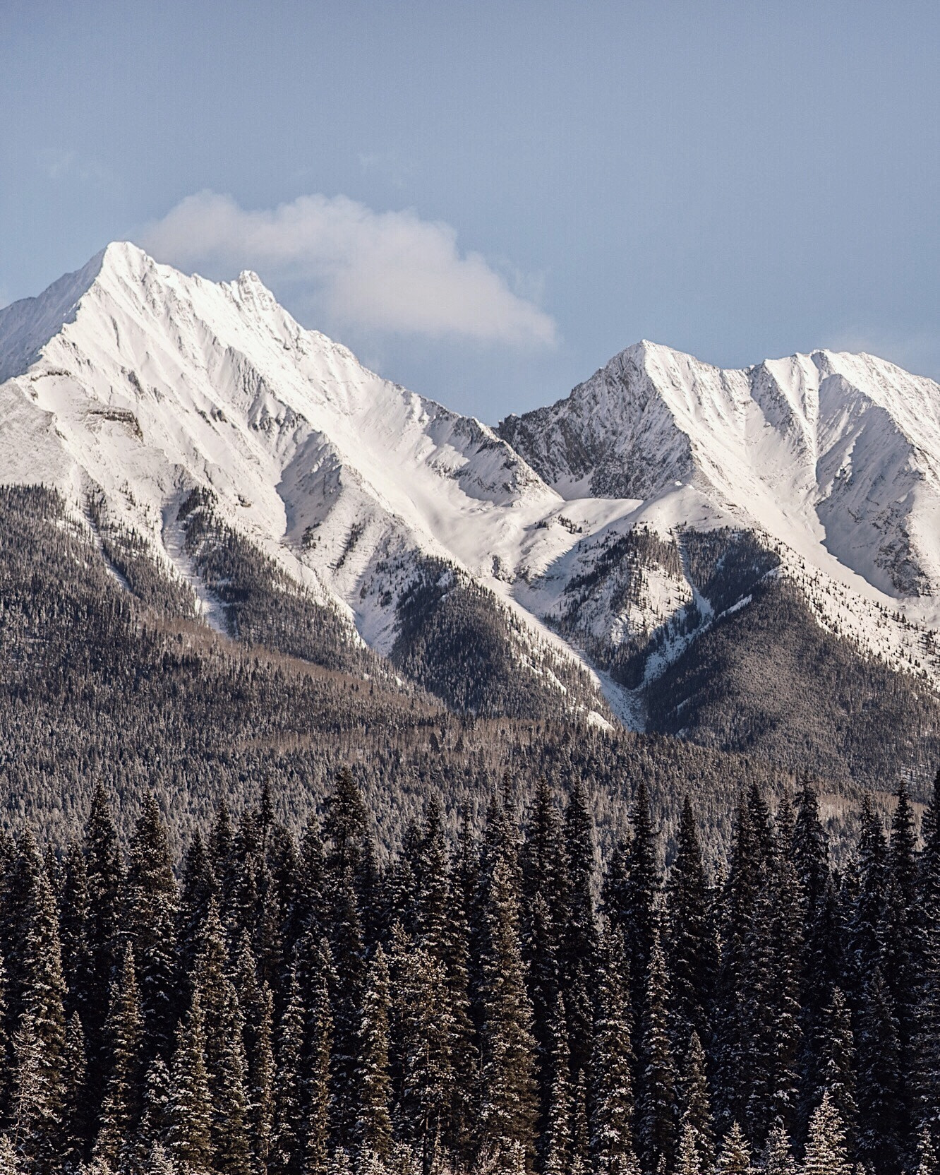 Nikon D4 sample photo. Hawk ridge. kootenay national park. bc. photography