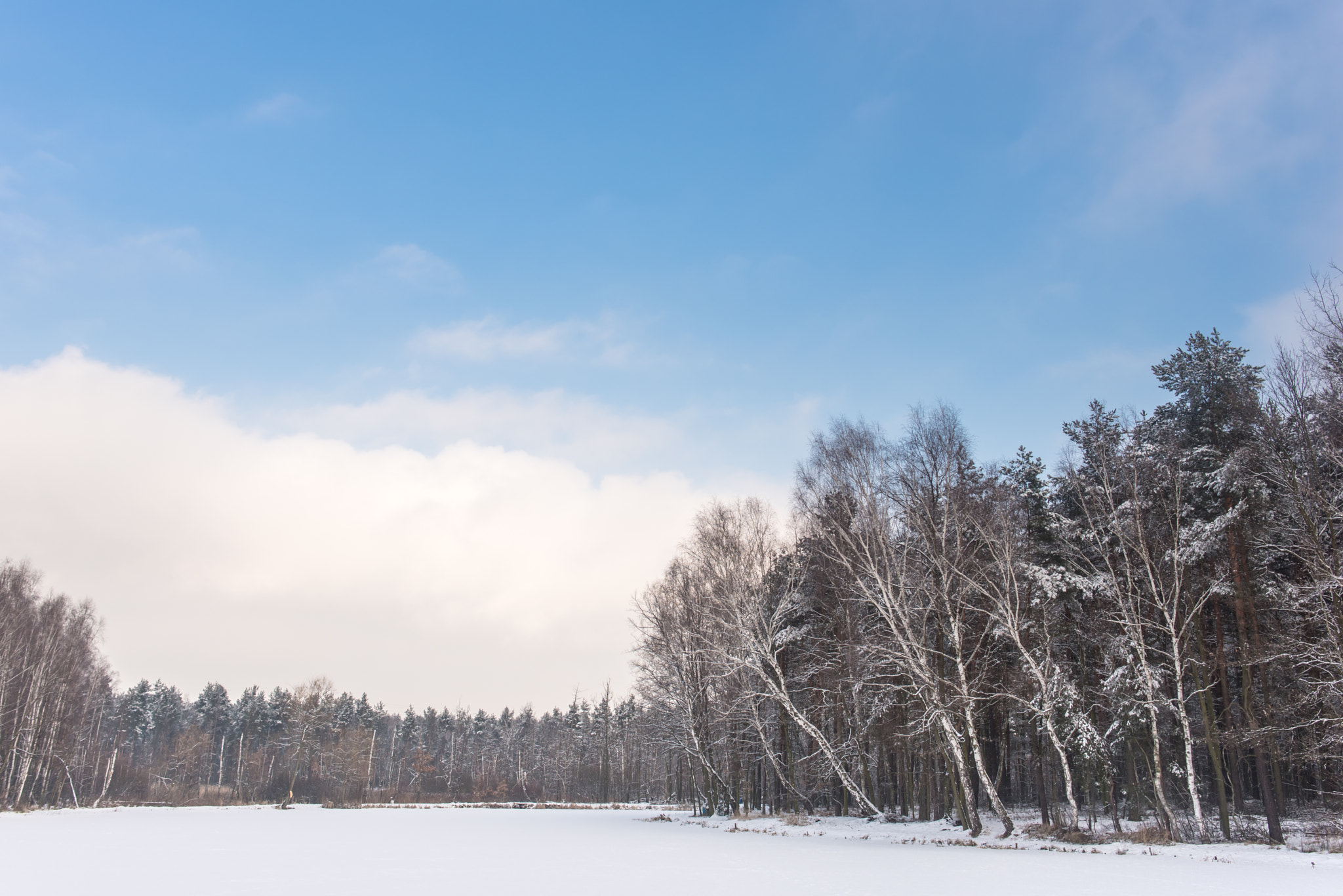 Nikon D750 + Nikon AF-S Nikkor 28mm F1.8G sample photo. Winter ladnscapes photography