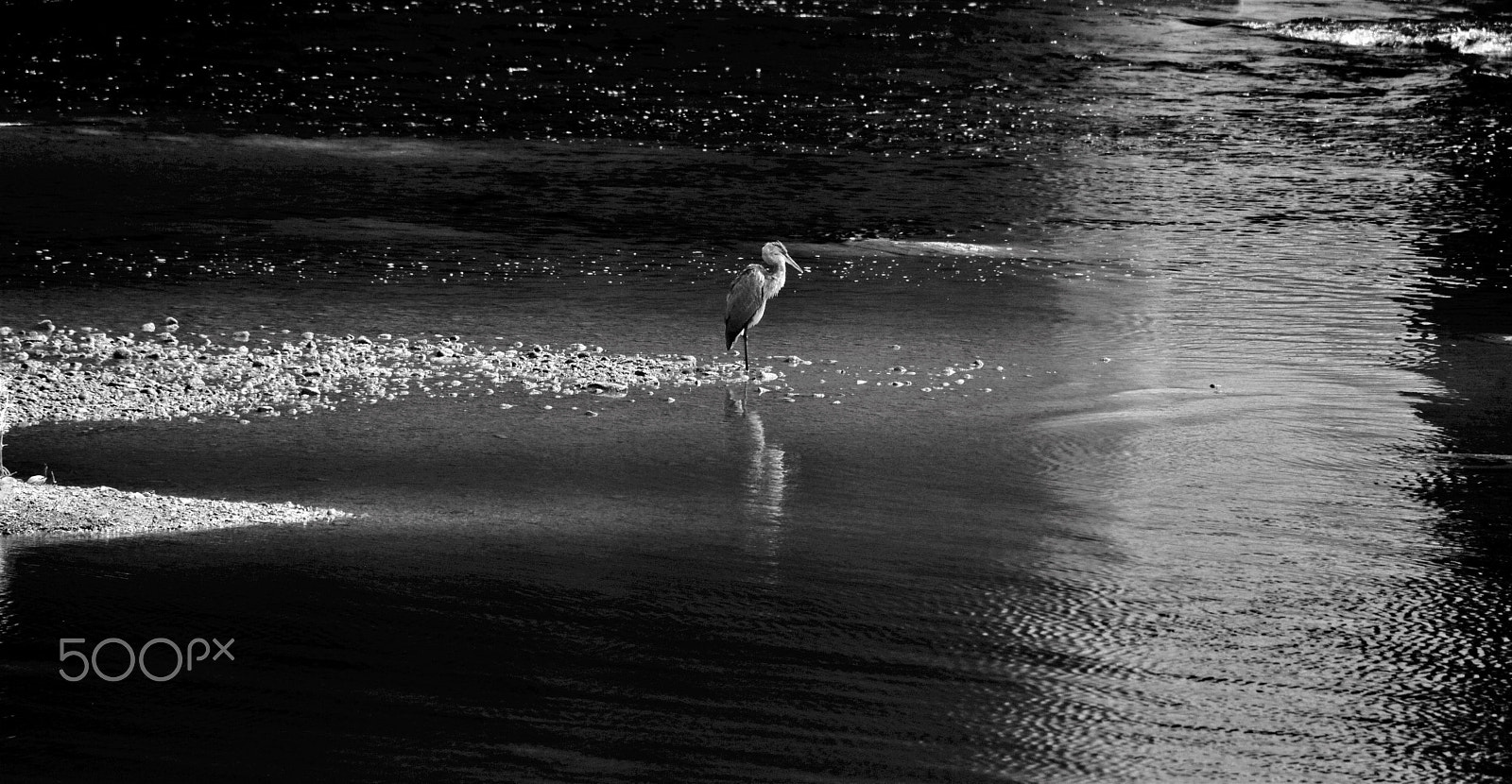 Nikon D3X sample photo. Grey photography