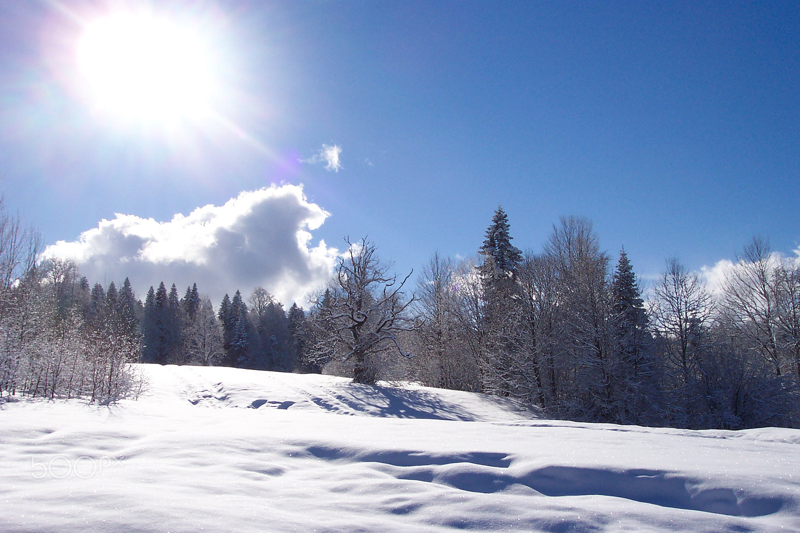 Kodak DX4330 DIGITAL CAMERA sample photo. Winter in adygea photography
