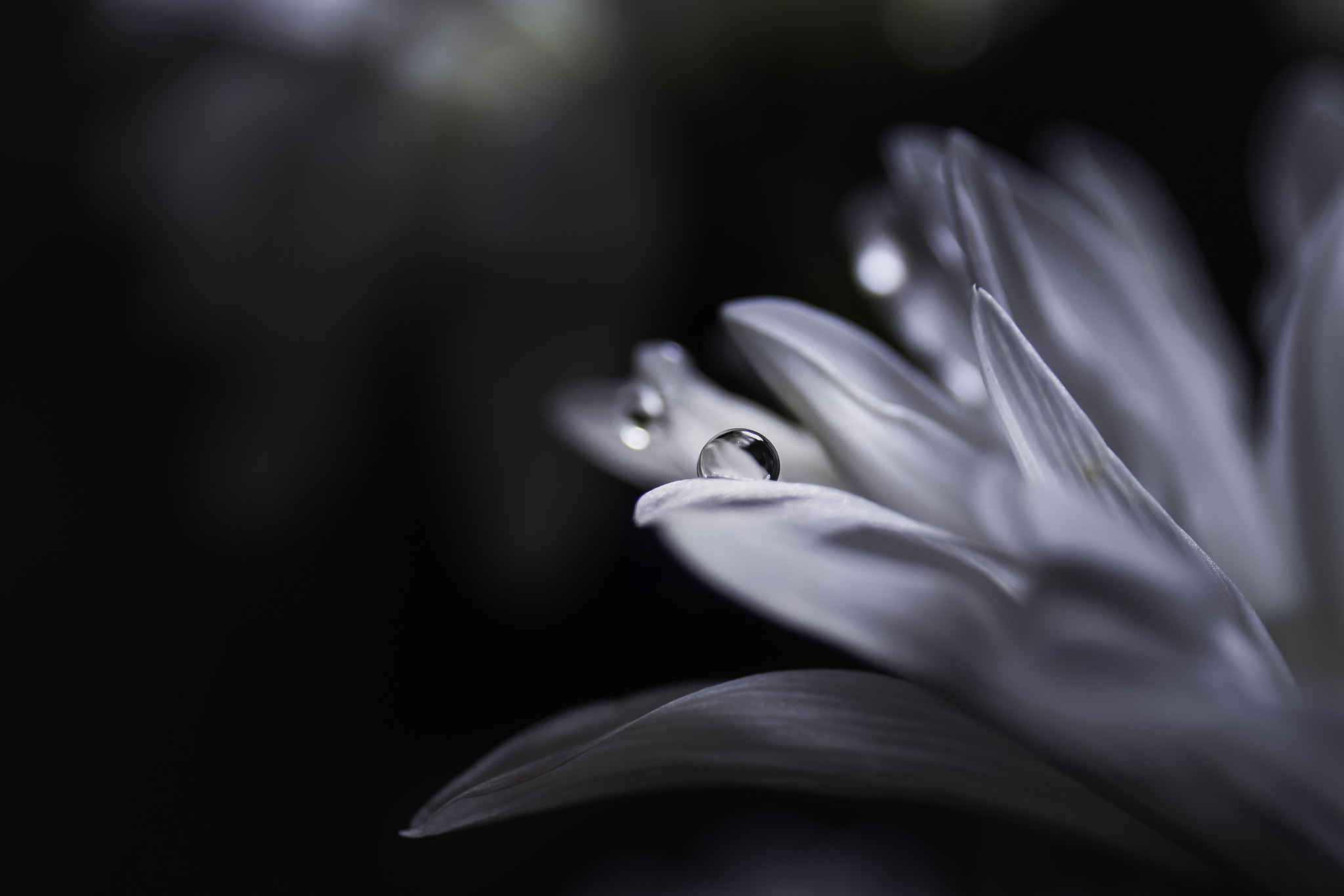 Canon EF 24-70mm F4L IS USM sample photo. ... photography