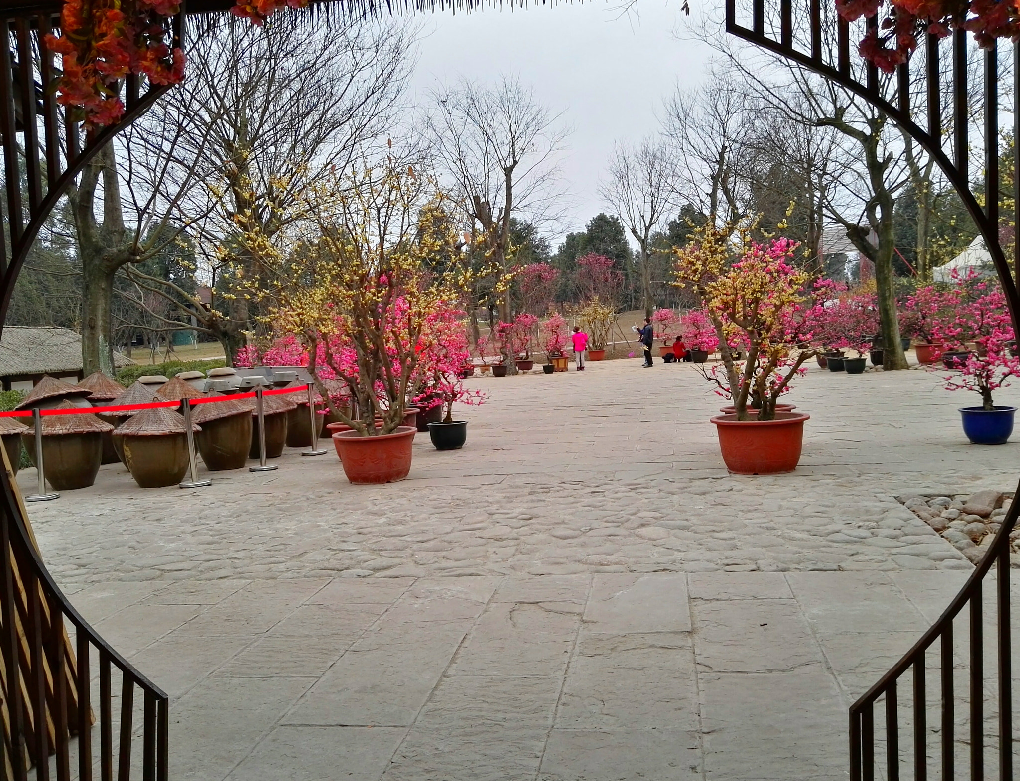 HUAWEI DAV sample photo