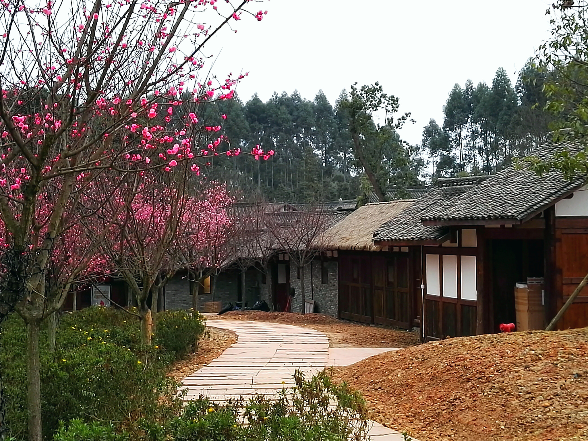 HUAWEI DAV sample photo