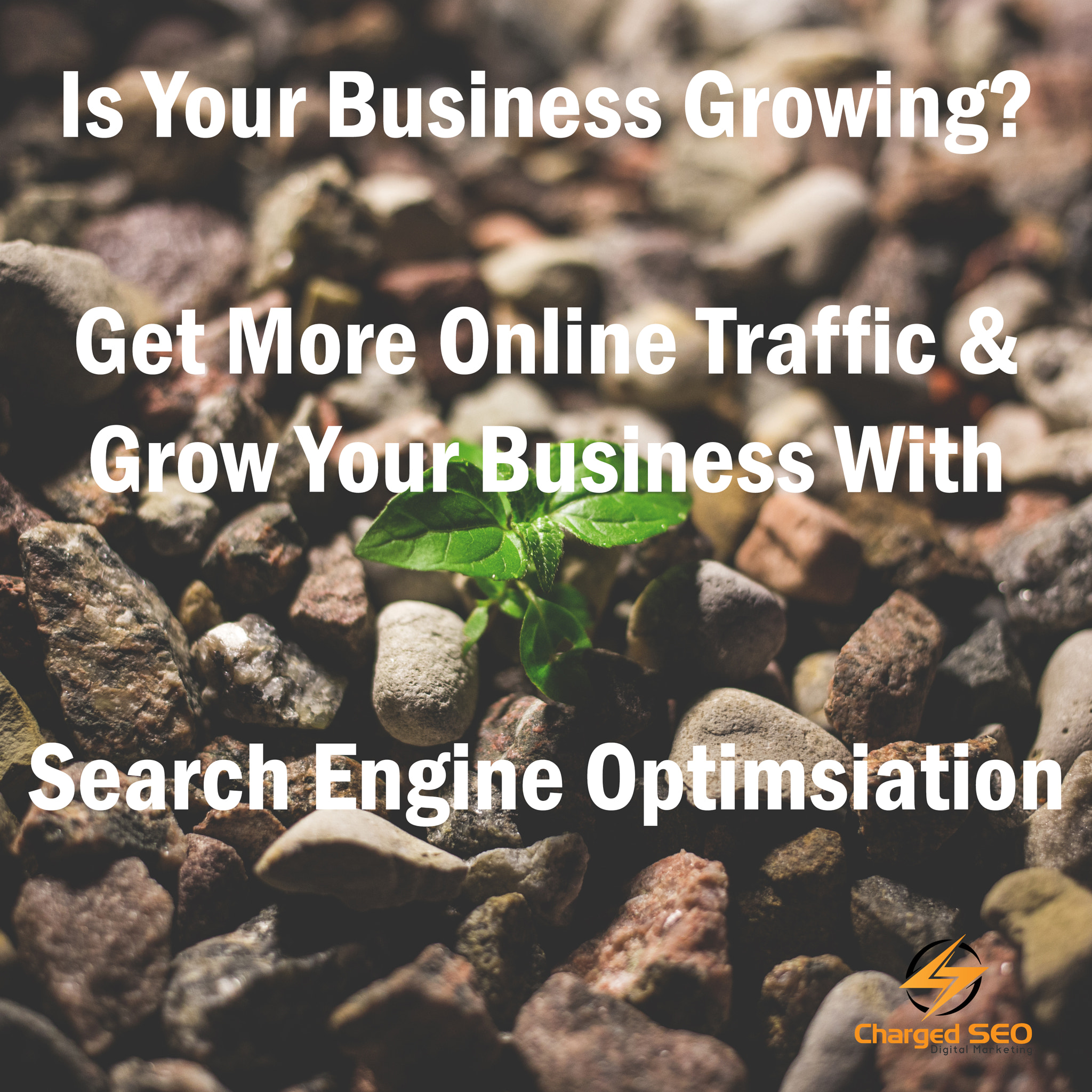 SEO Marketing for business growth