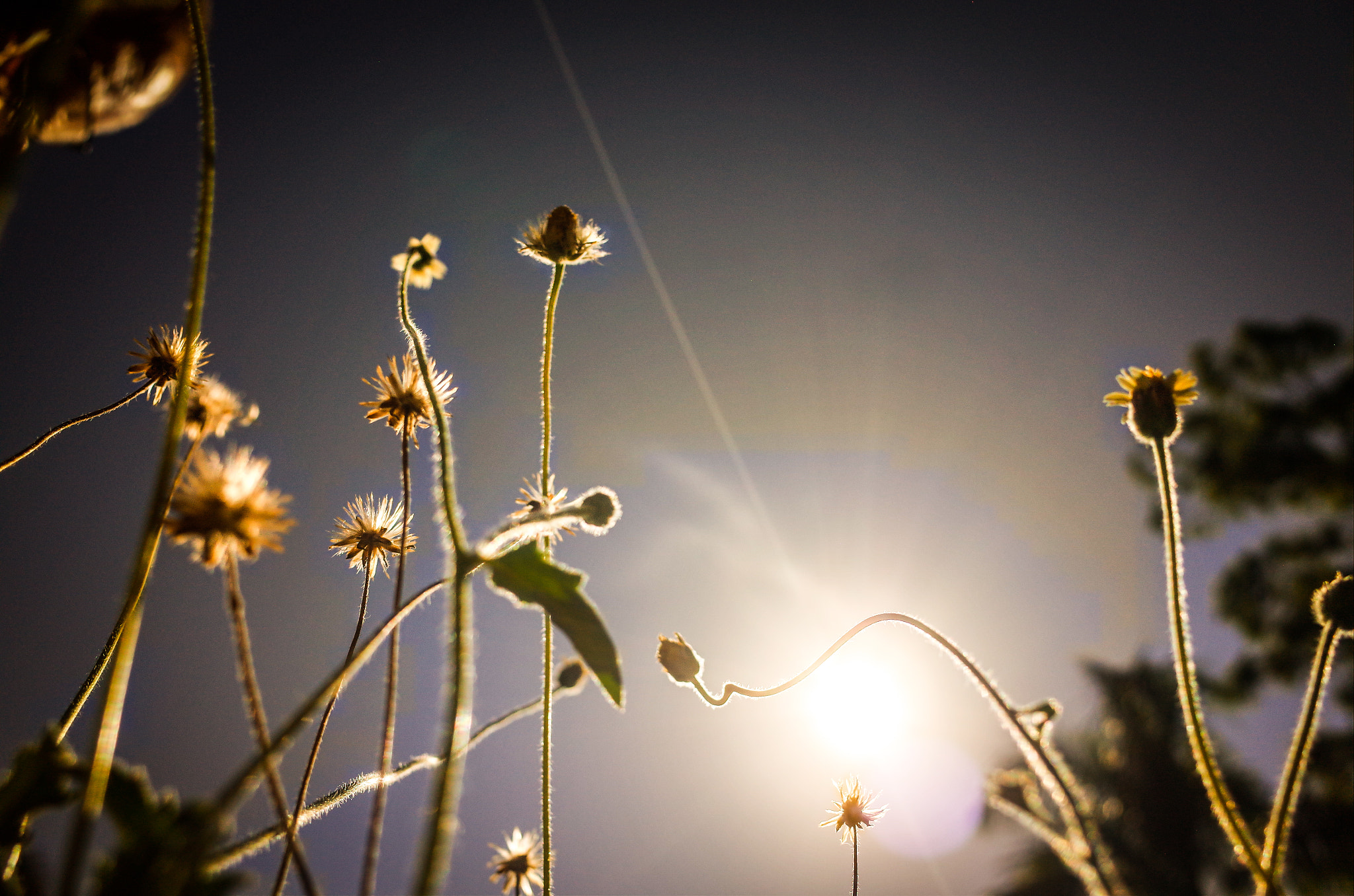 Ricoh GR + GR Lens sample photo. Reach photography