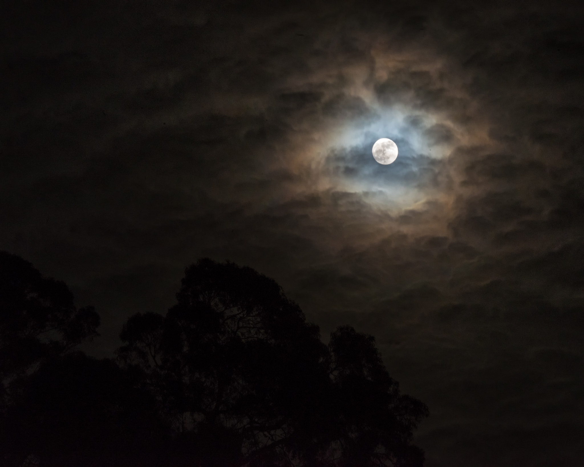 Nikon D800 sample photo. Last full moon 2016 photography