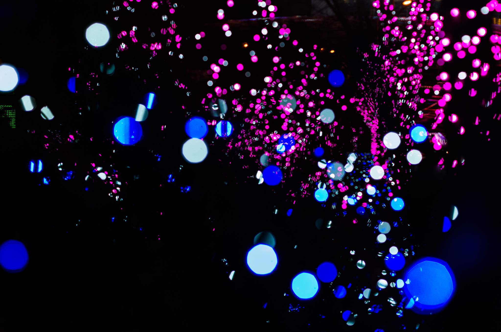 Pentax K-50 + Pentax smc DA 50mm F1.8 sample photo. Lights photography