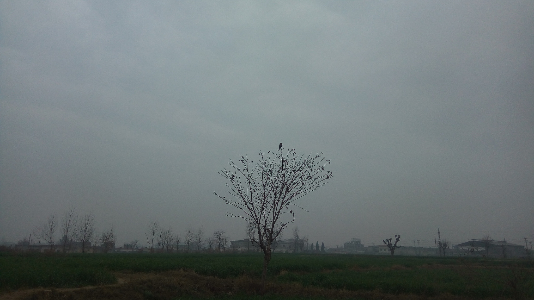 Infinix NOTE 3 PRO sample photo
