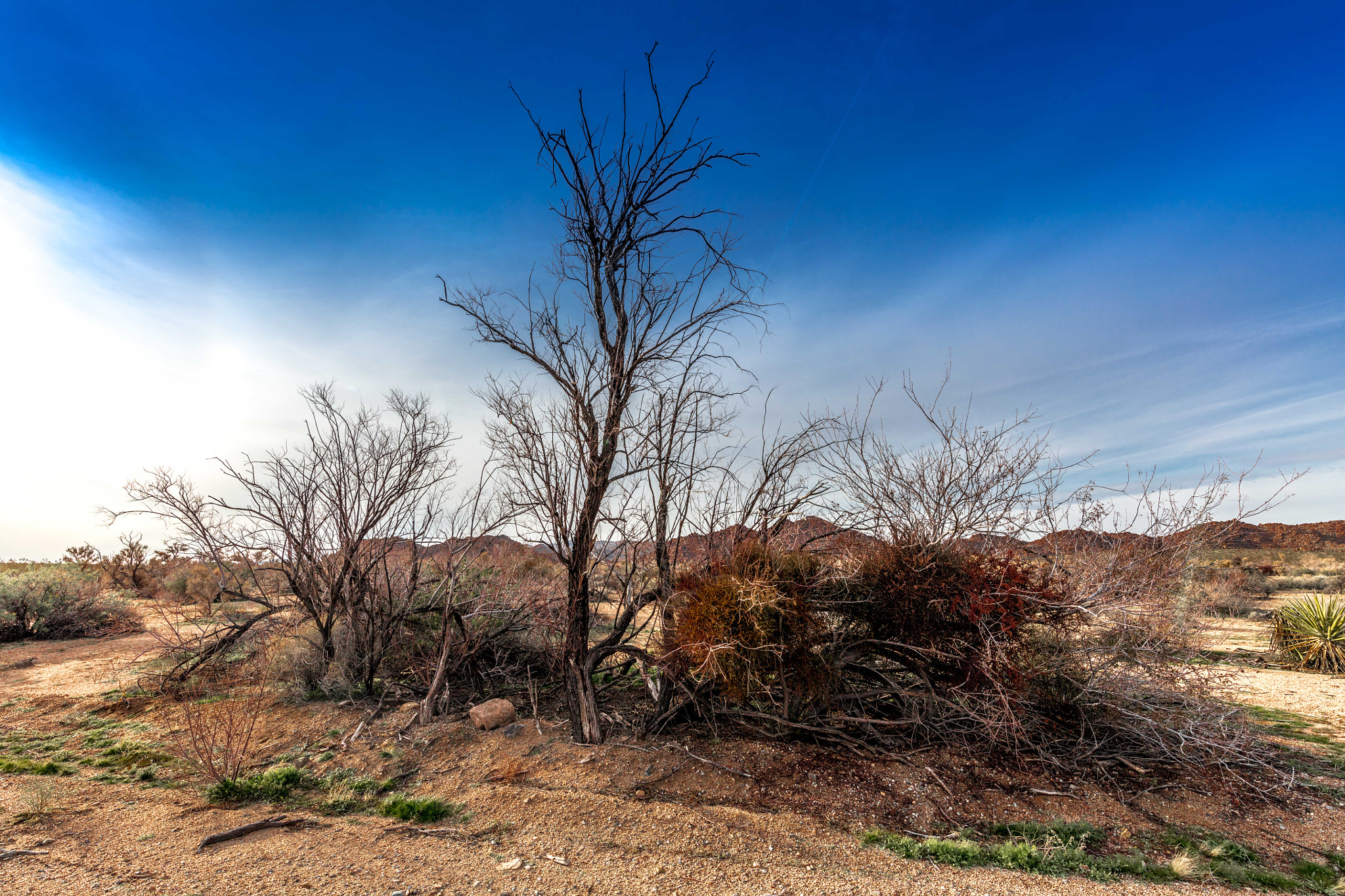 Canon EOS 5DS + Canon EF 300mm f/2.8L sample photo. Timeless desert photography