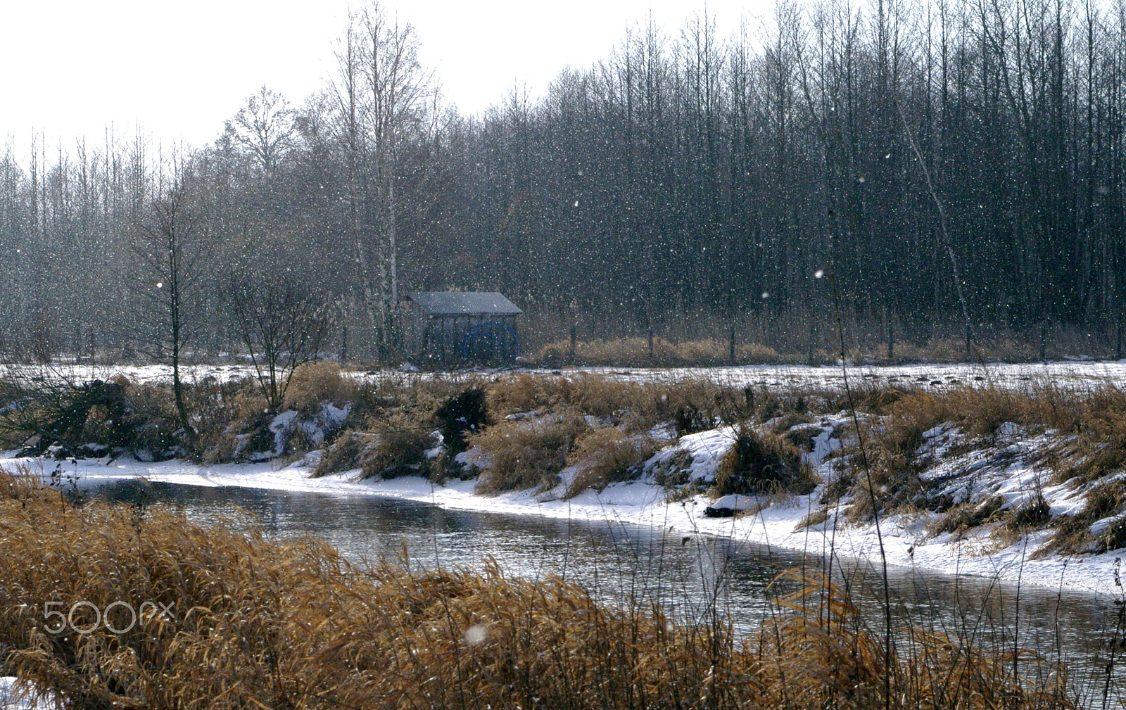 Samsung/Schneider D-XENON 18-55mm F3.5-5.6 II sample photo. Just snowing... photography