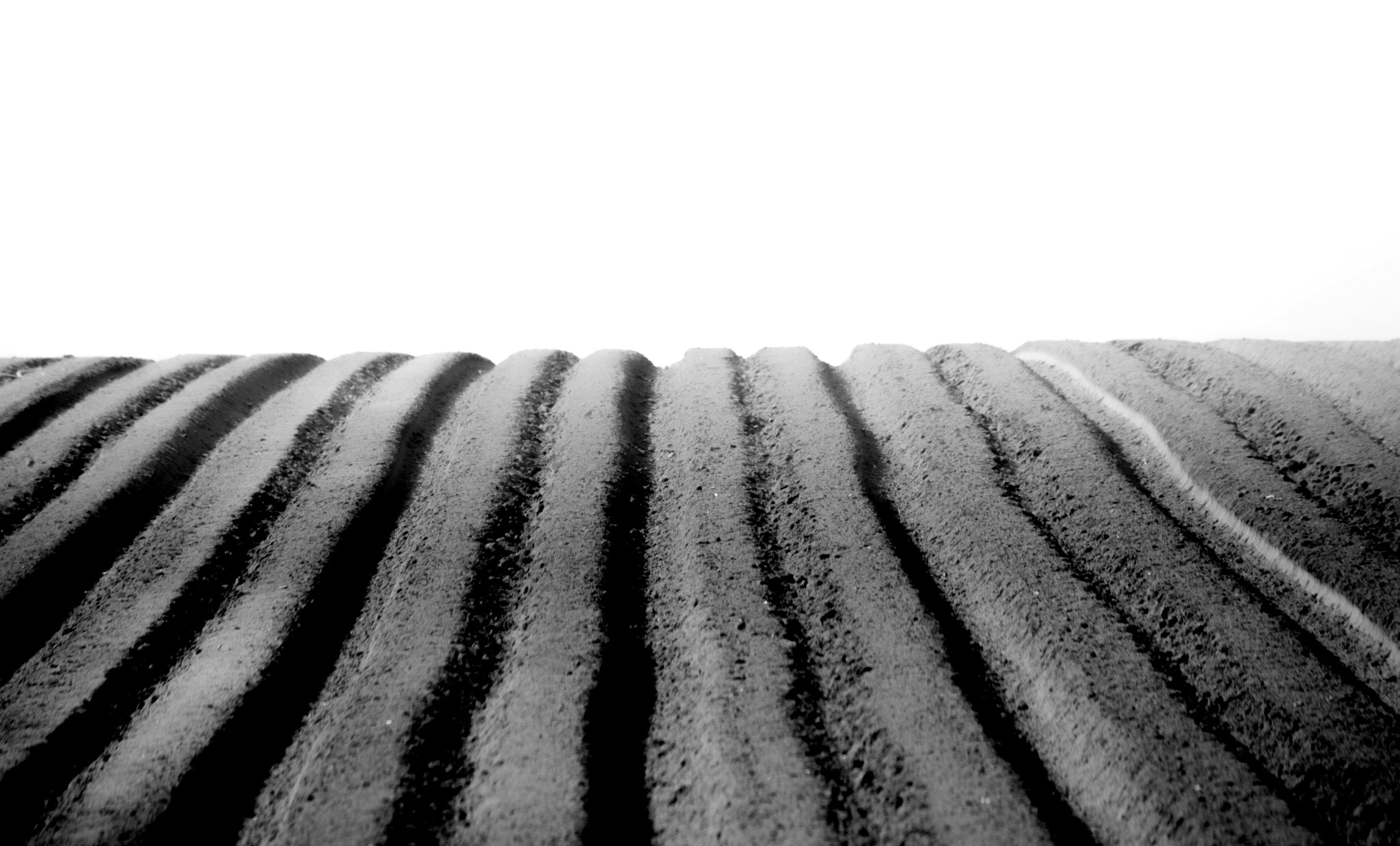 Canon EOS 6D + Canon EF 100-300mm f/5.6L sample photo. Barren photography