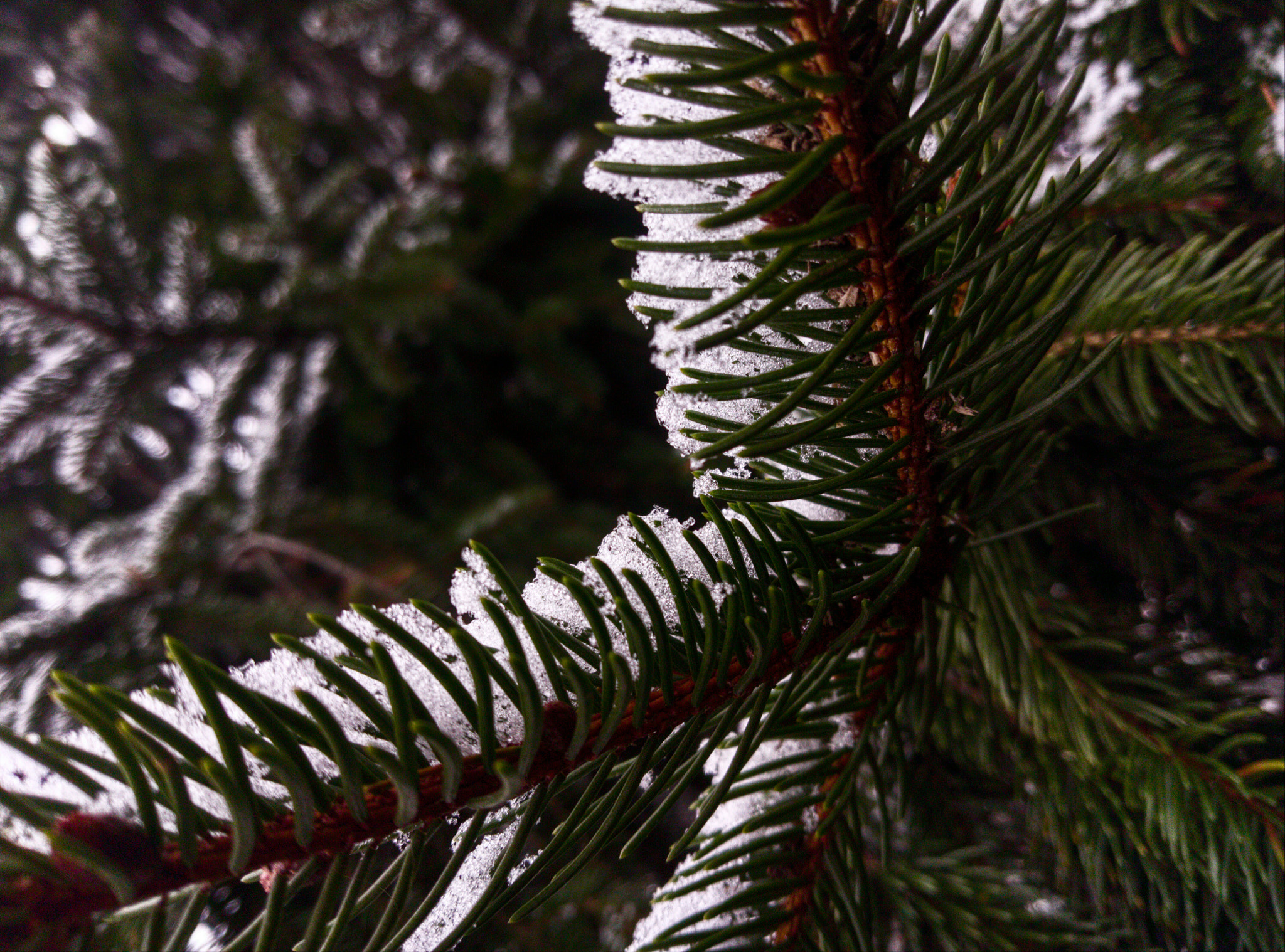HTC ONE A9 sample photo