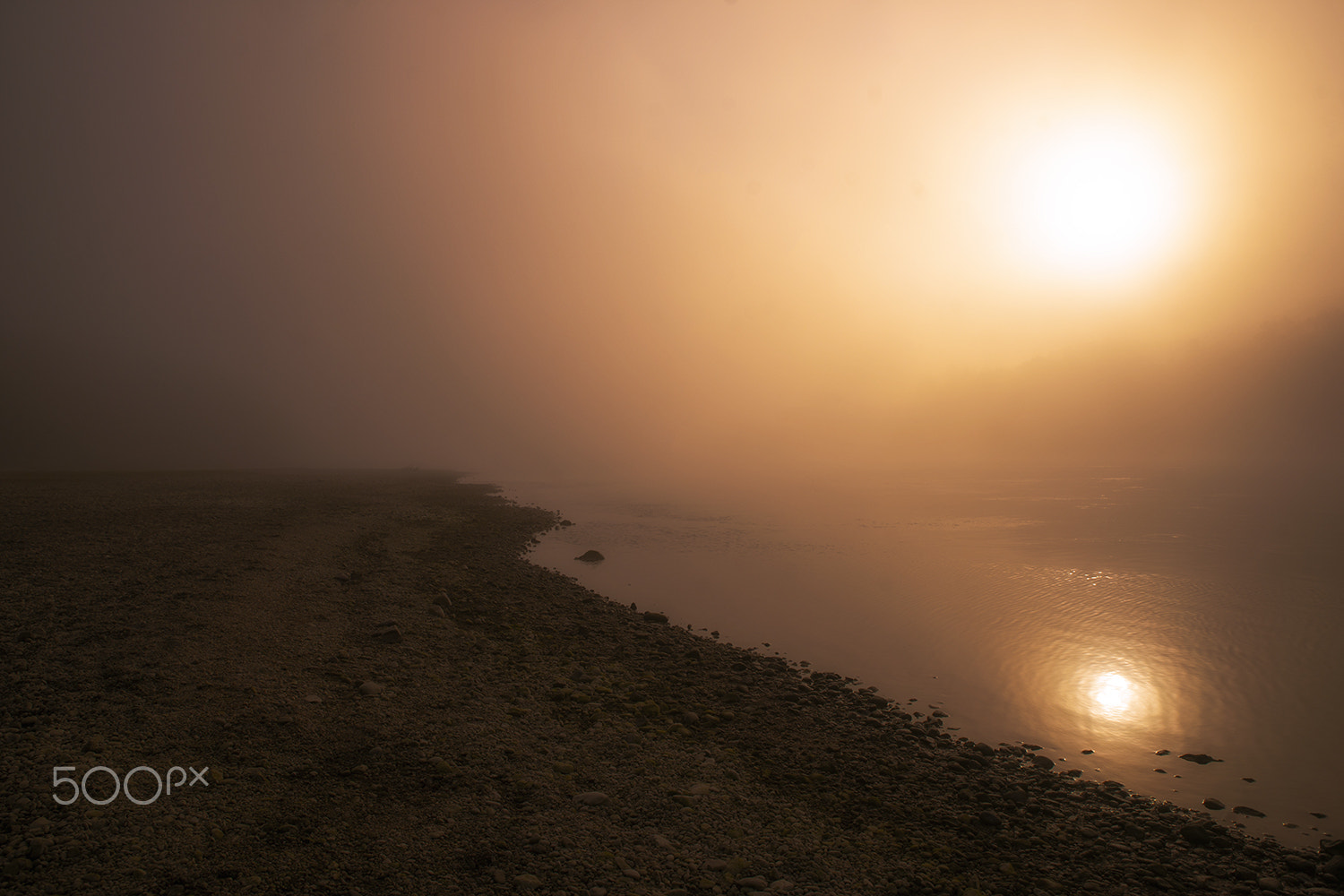 Sony Alpha DSLR-A900 sample photo. Fog on the riverside photography