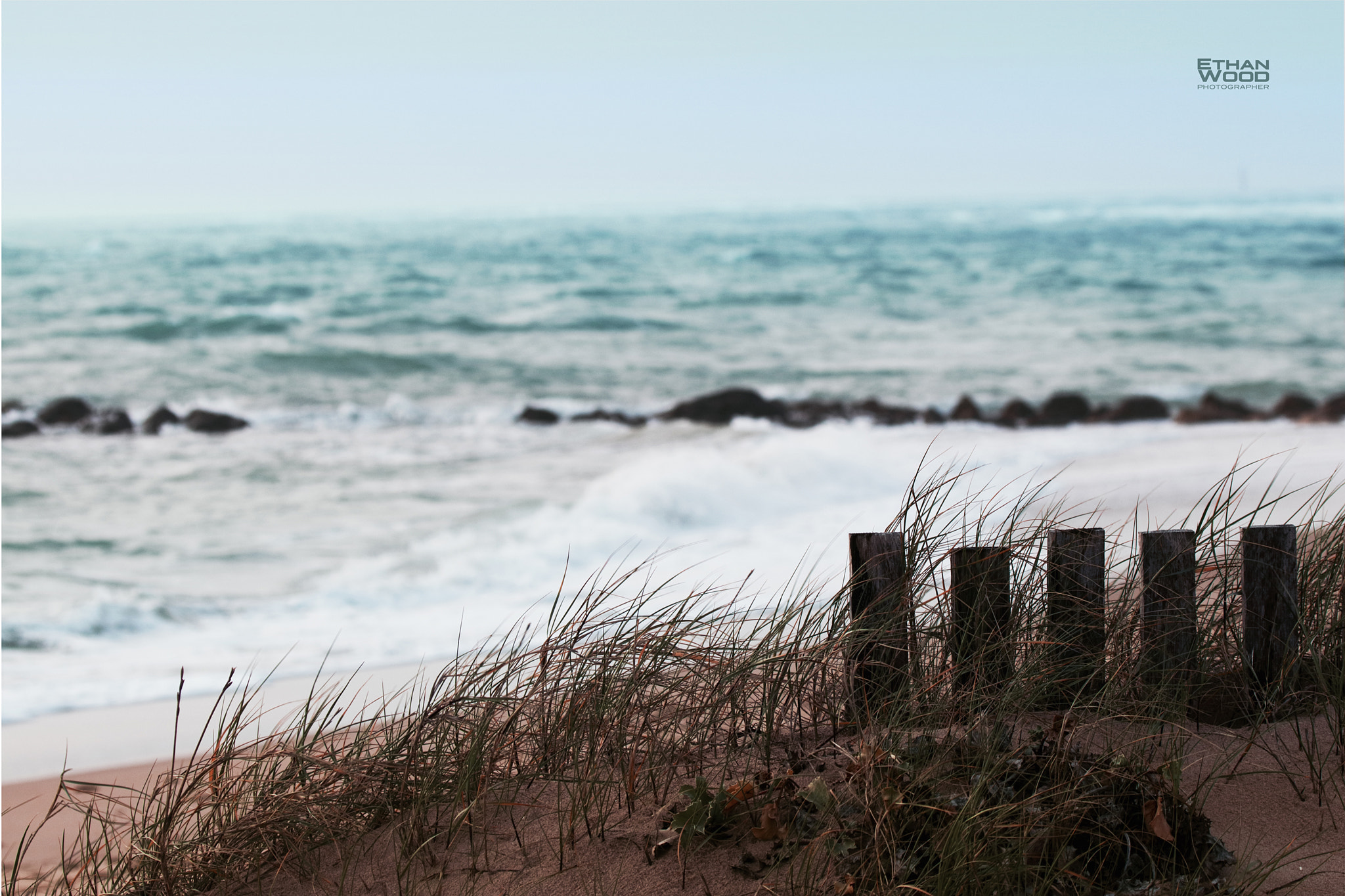 Canon EF 100-400mm F4.5-5.6L IS USM sample photo. Wind photography