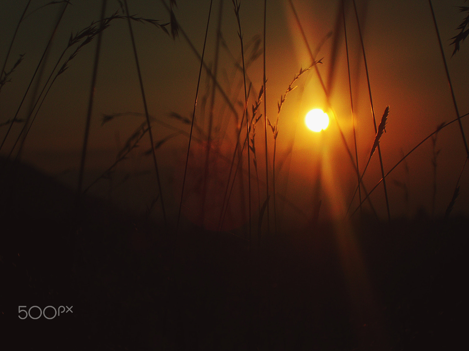 Sony Cyber-shot DSC-W220 sample photo. Warm sunset photography