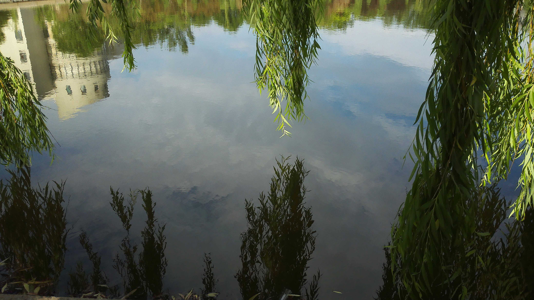 HUAWEI PE-TL10 sample photo. Sky in water  photography