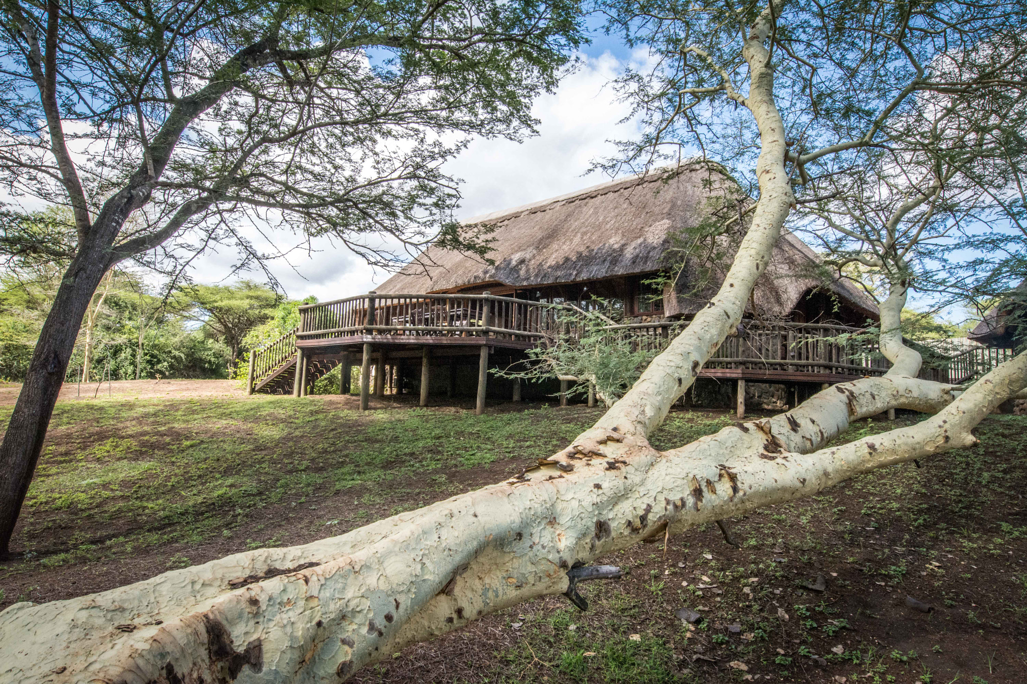 Nikon AF-S Nikkor 14-24mm F2.8G ED sample photo. Rhinoriverlodge copy photography