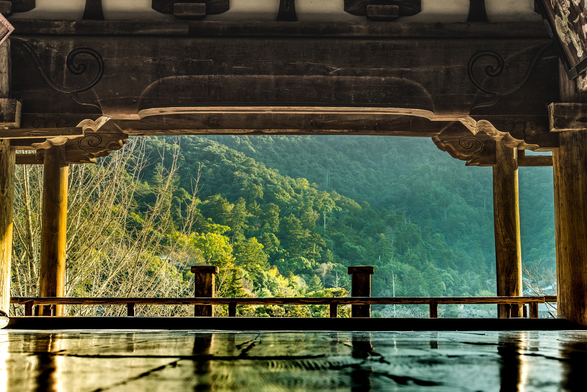 Nikon D750 + Nikon AF-S Nikkor 58mm F1.4G sample photo. Miyajima senjoukaku 58mm photography