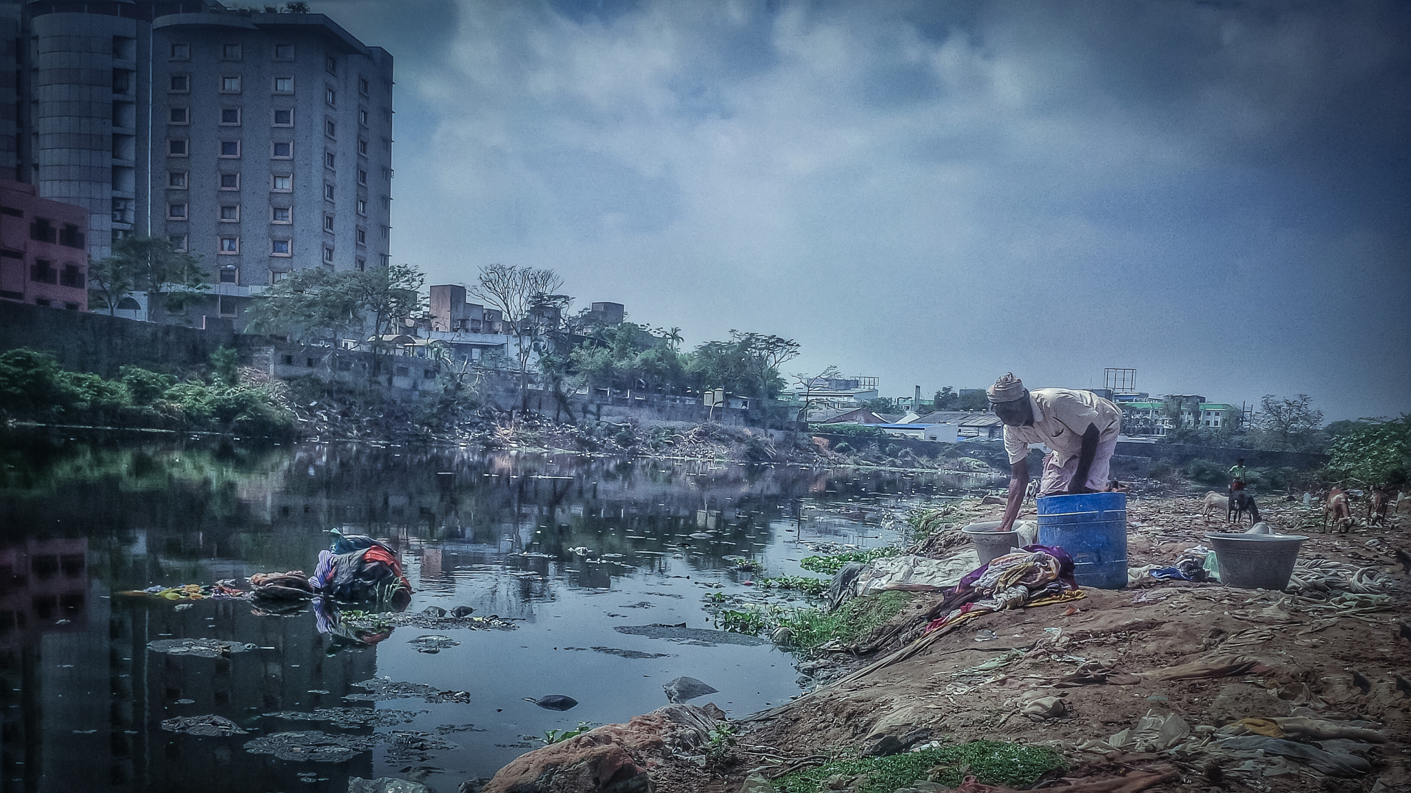 BlackBerry Z10 sample photo. Workoholic photography
