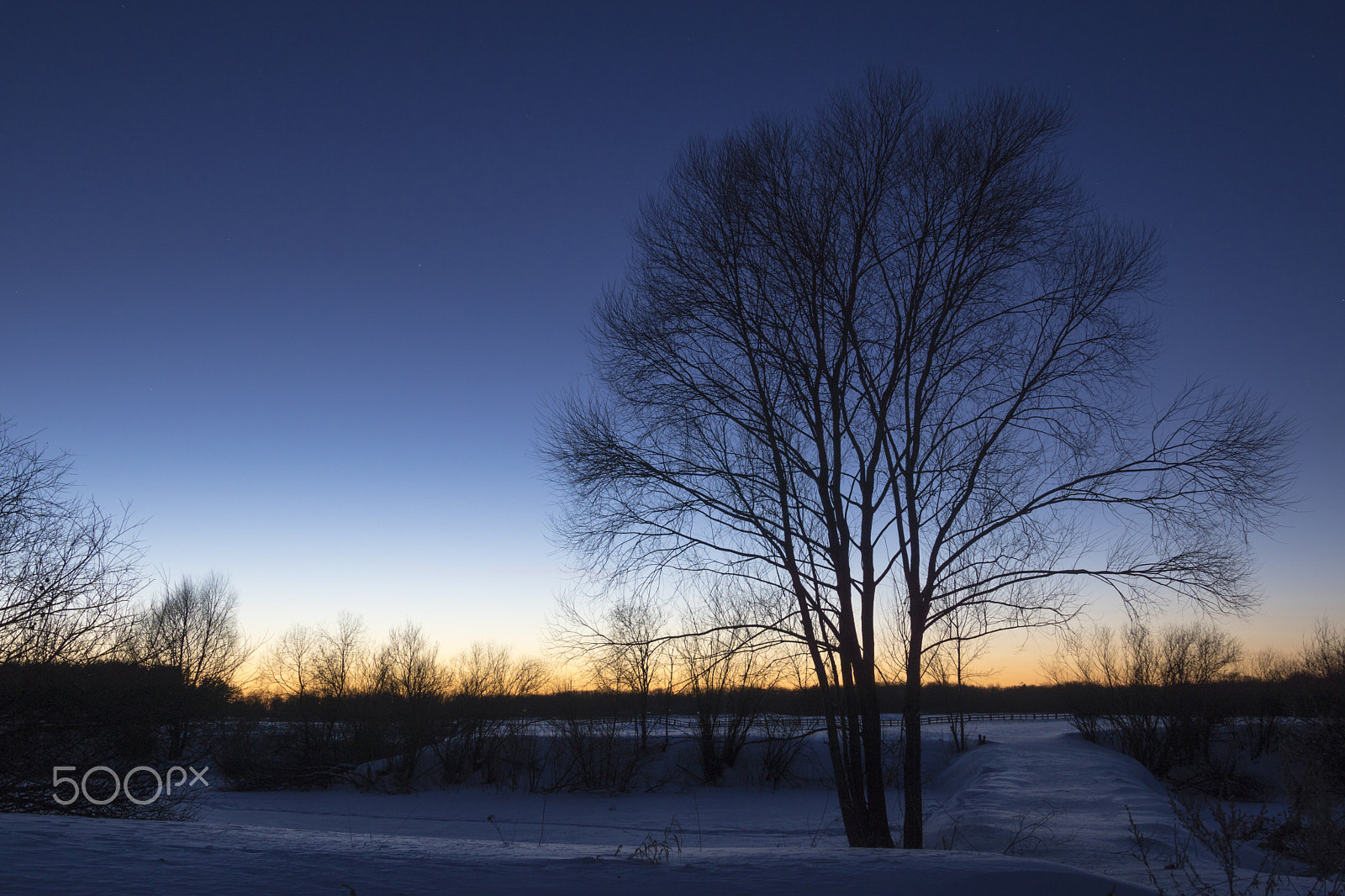 Tamron 16-300mm F3.5-6.3 Di II VC PZD Macro sample photo. After sunset photography