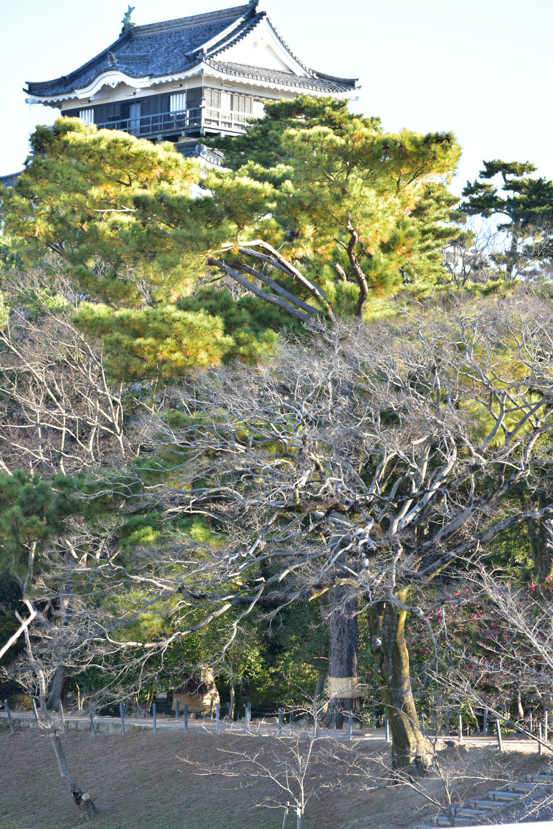 Nikon AF-S DX Micro-Nikkor 85mm F3.5G ED VR sample photo. Okazaki castel, winter photography