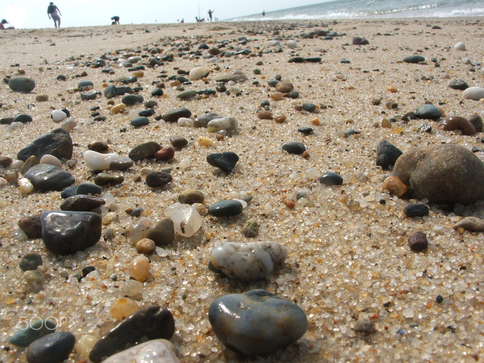 Fujifilm FinePix S3100 sample photo. Cape cod rocks photography
