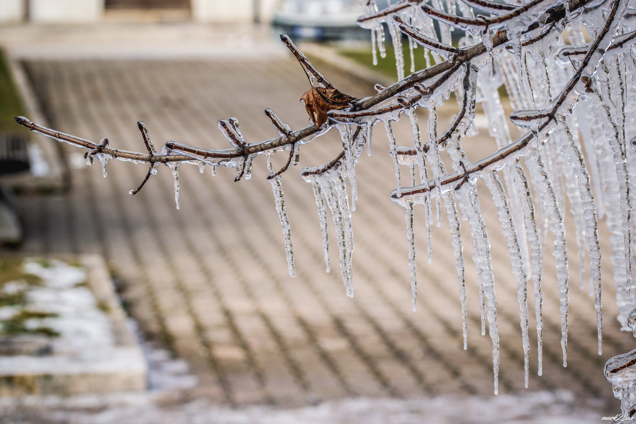 Sigma 105mm F2.8 EX DG OS HSM sample photo. Ice ave photography