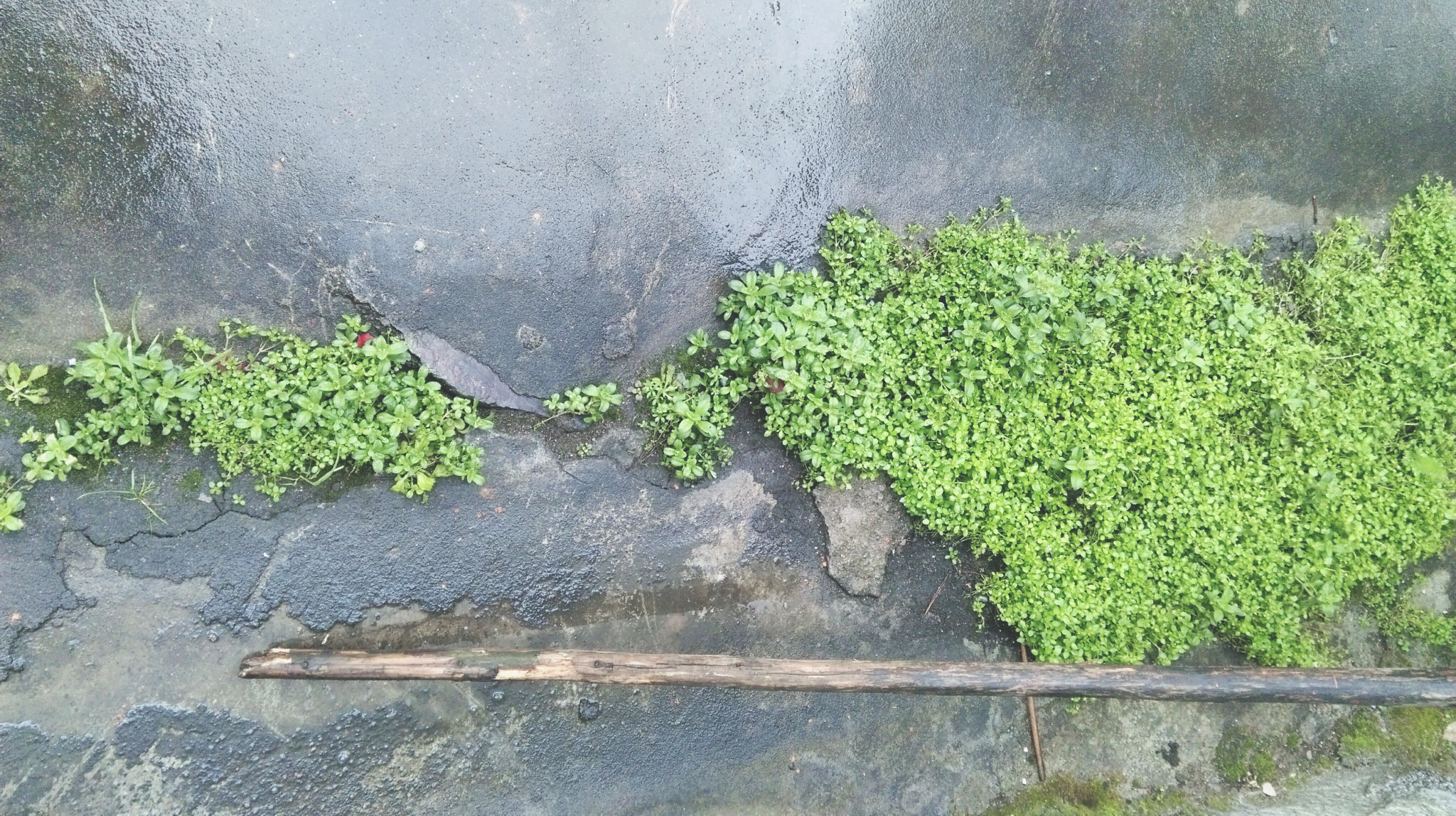 HTC ONE (E8) sample photo