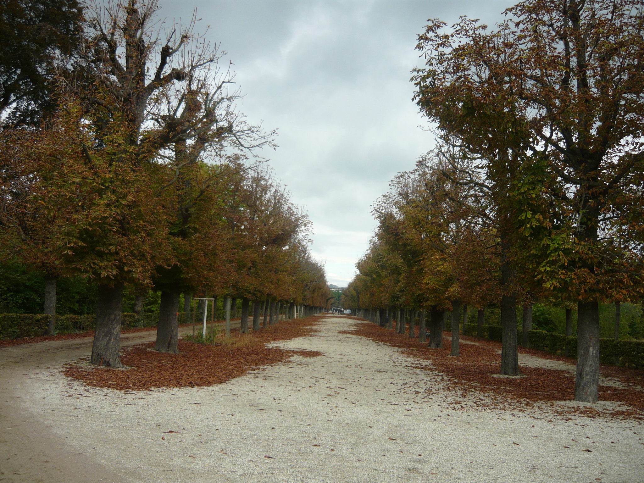 Panasonic Lumix DMC-LS80 sample photo. Cloudy autumn day photography