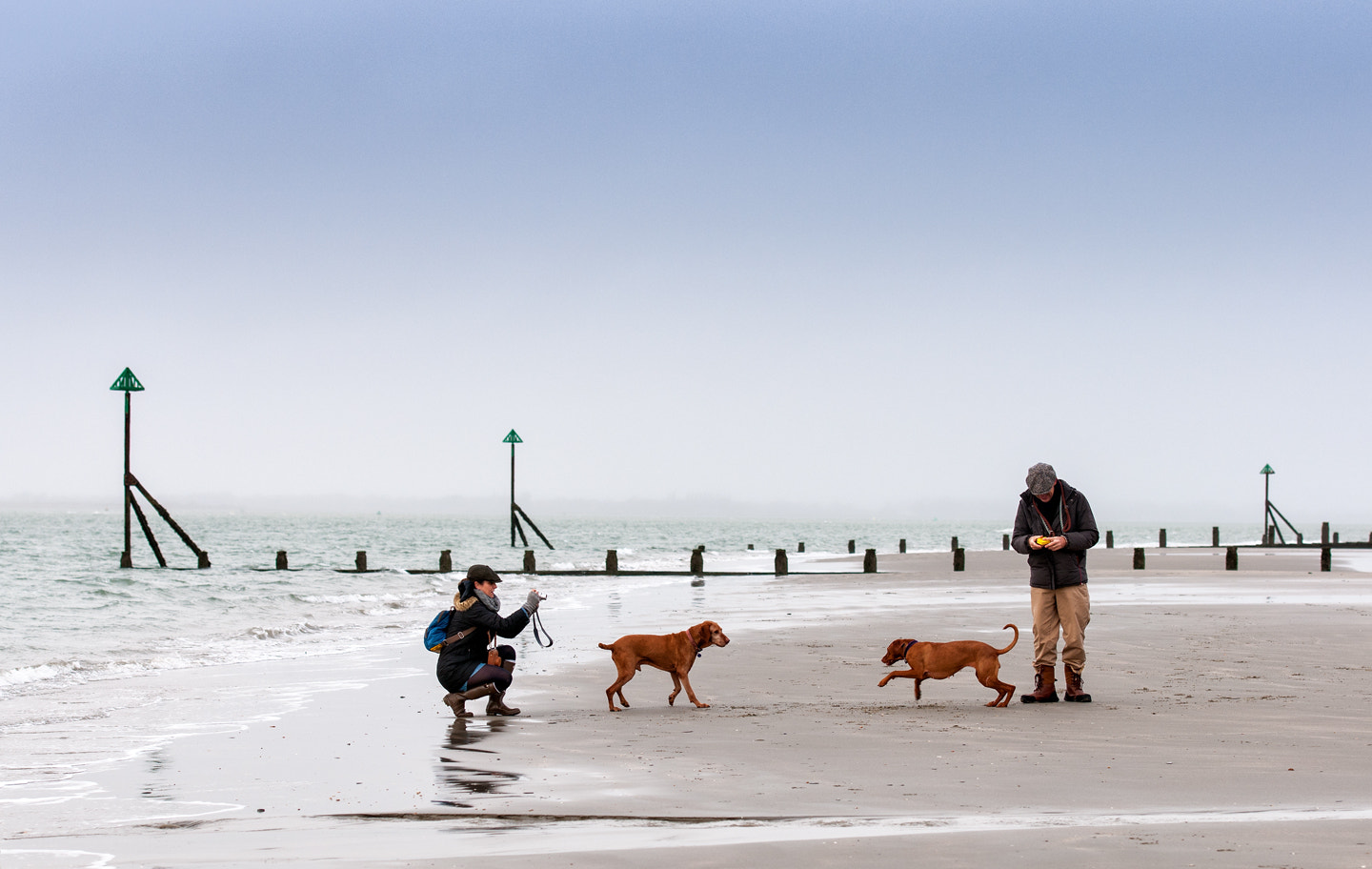 Nikon AF-S Nikkor 70-200mm F2.8G ED VR II sample photo. Doggie lovers photography