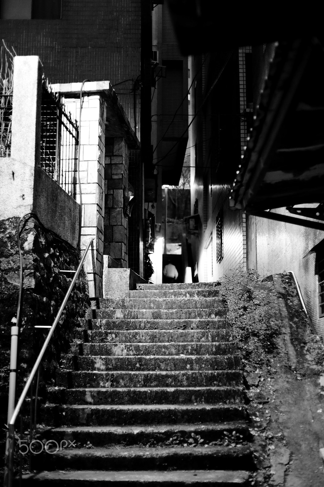 Canon EF 50mm F1.8 II sample photo. 形隻影單 photography