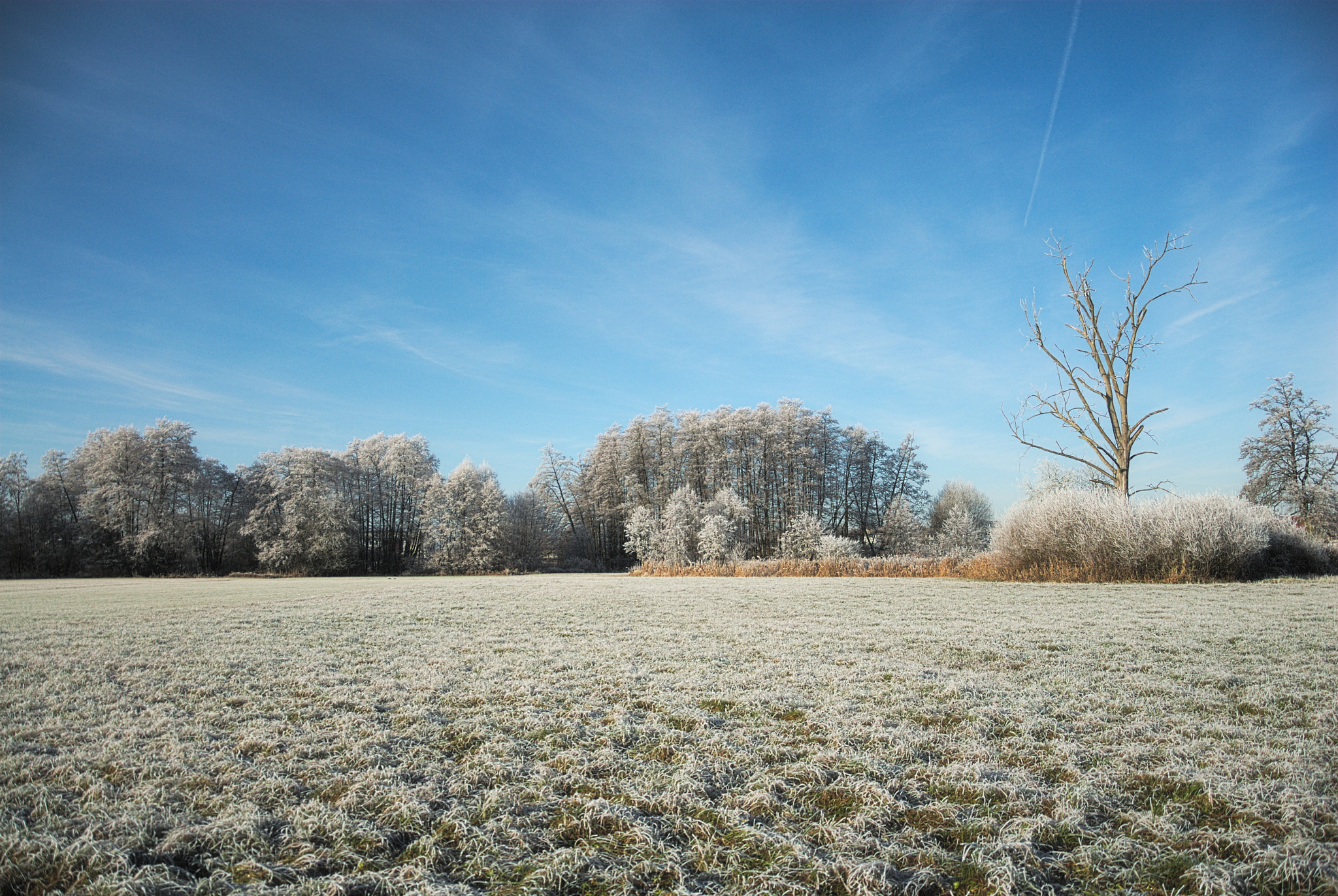Nikon D200 sample photo. In winter ii photography