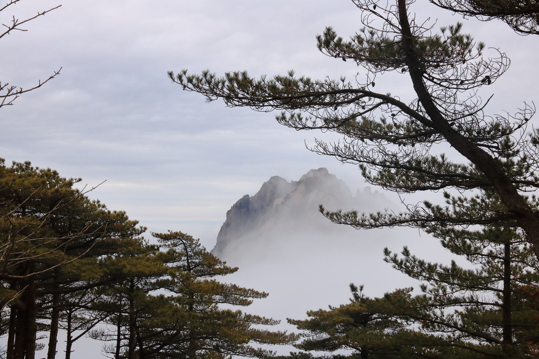 Canon EOS 760D (EOS Rebel T6s / EOS 8000D) sample photo. 黄山 photography
