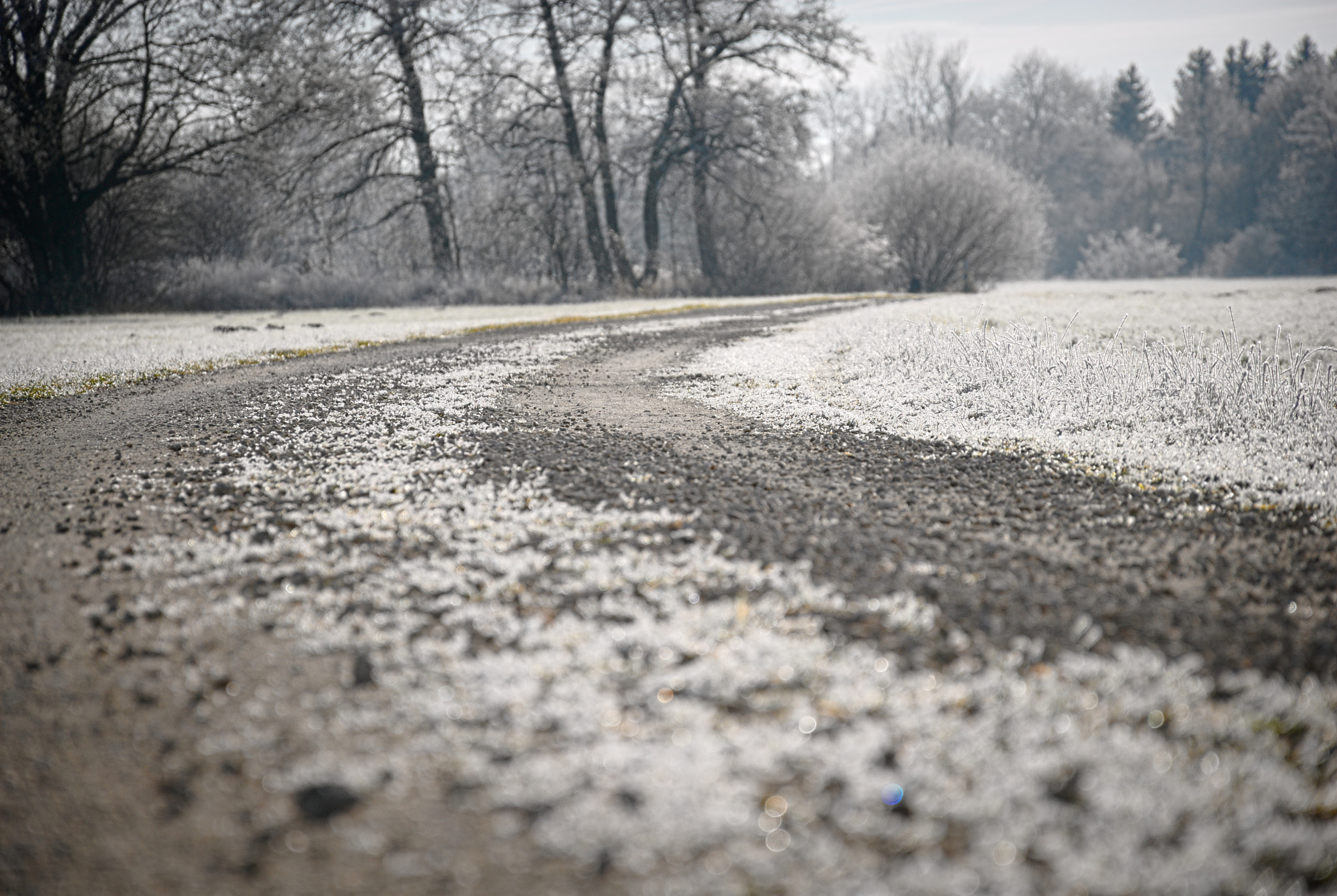 Nikon D200 sample photo. In winter iii photography