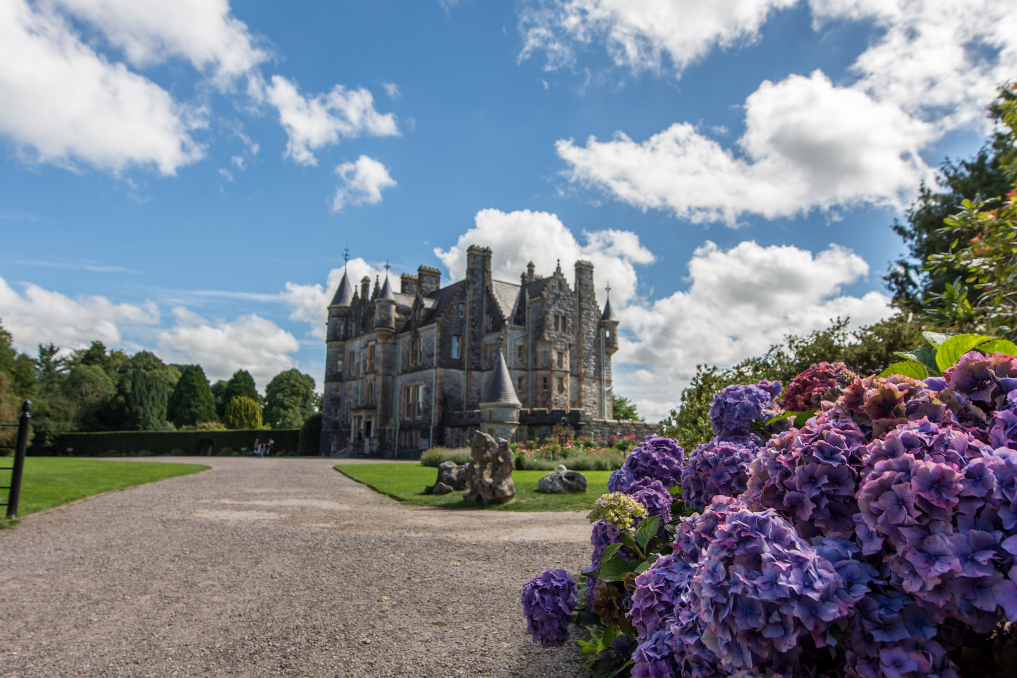Nikon AF-S Nikkor 14-24mm F2.8G ED sample photo. Blarney castle photography
