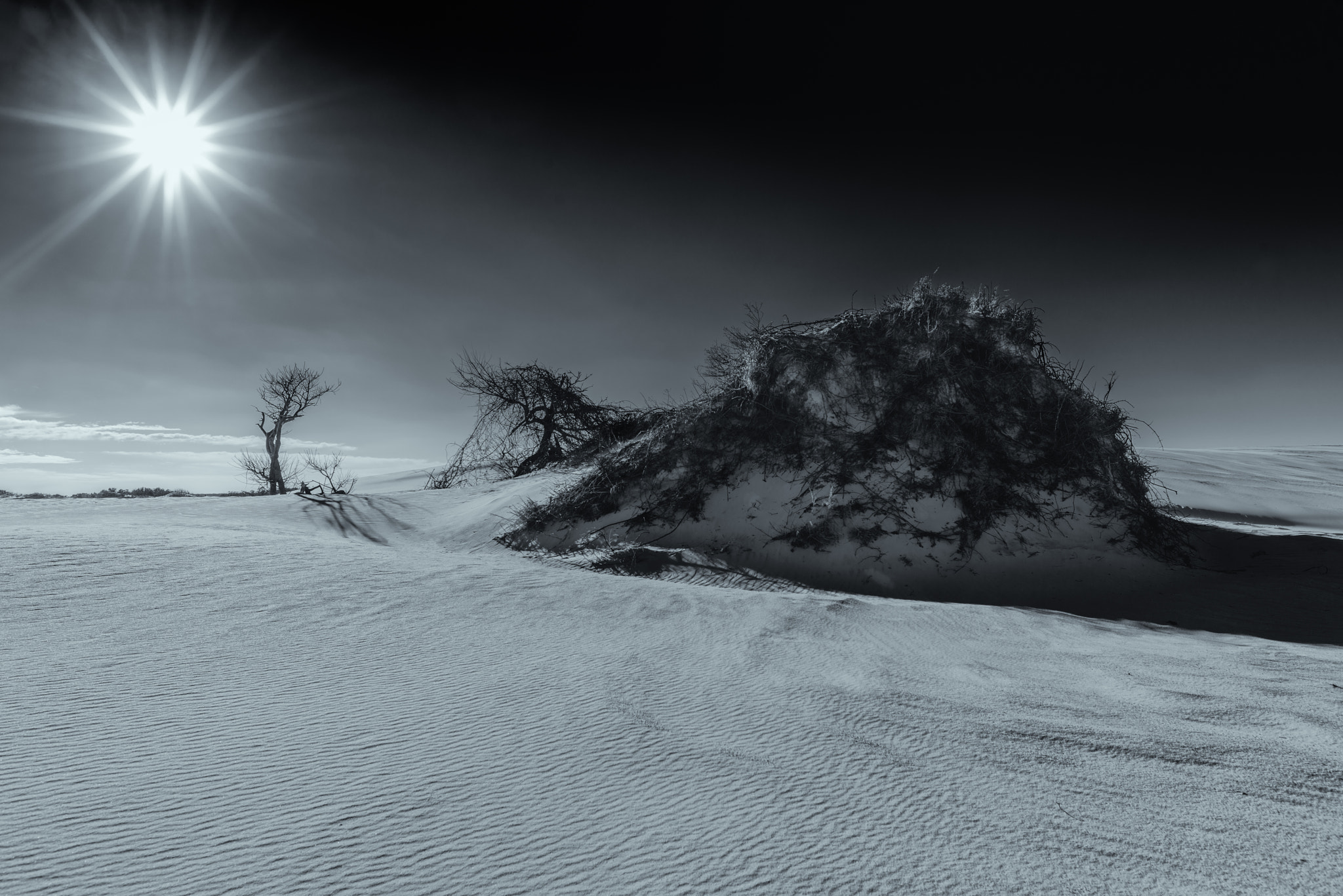 Nikon D800 + Nikon AF-S Nikkor 20mm F1.8G ED sample photo. Seaside desert photography
