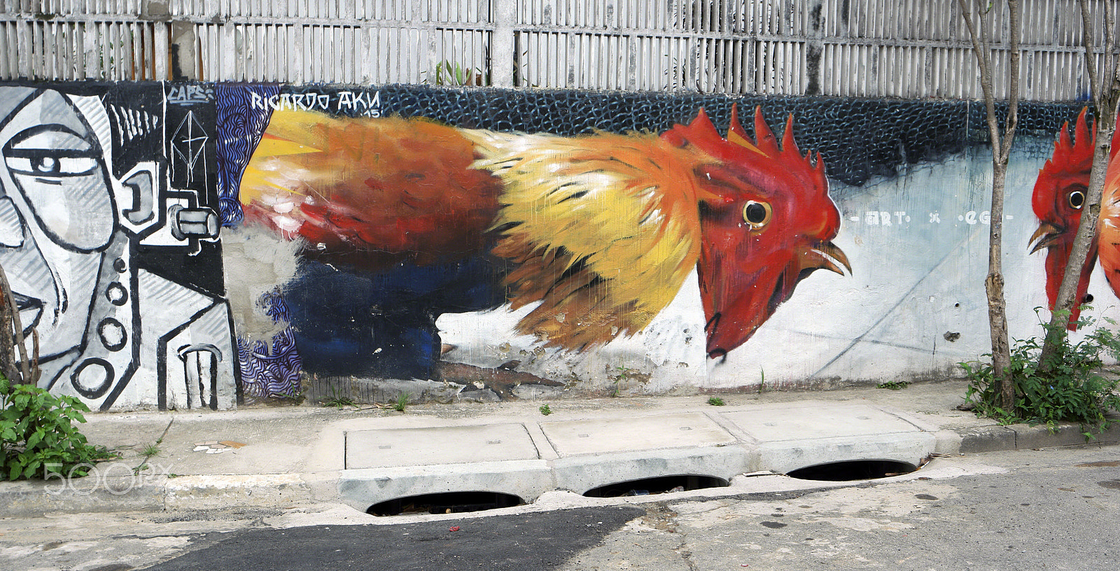 Samsung NX500 + Samsung NX 16-50mm F3.5-5.6 Power Zoom ED OIS sample photo. Rooster & sidewalk 2016 photography