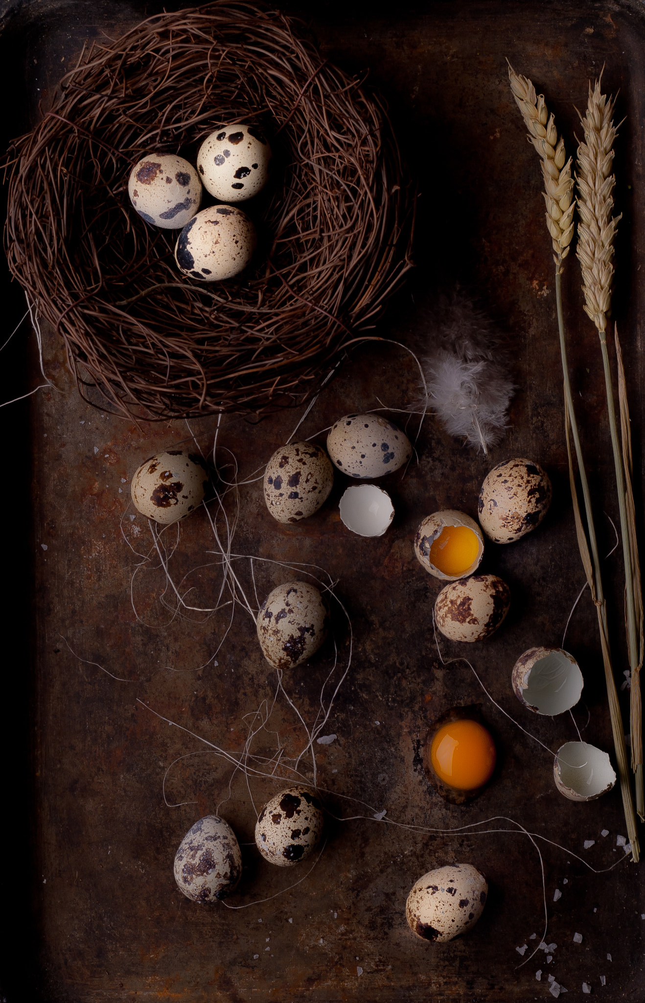 Nikon D200 sample photo. Quail eggs photography