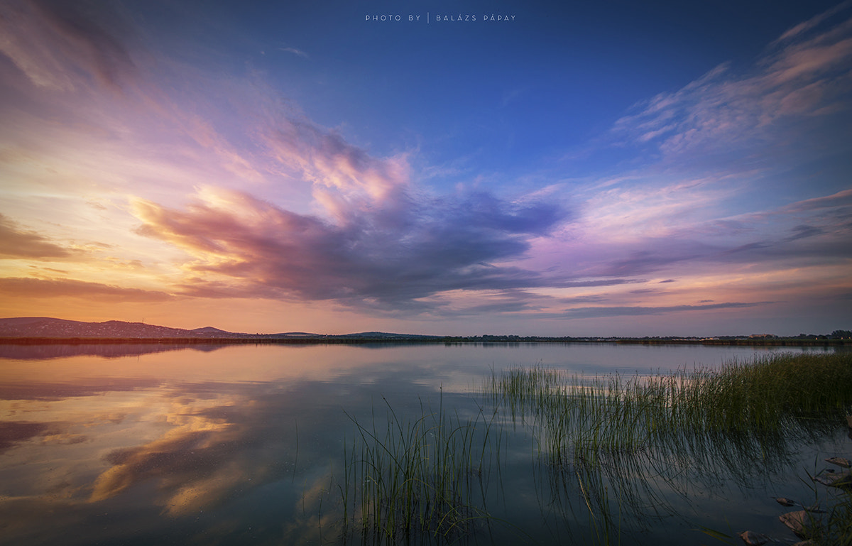 Sigma 10-20mm F4-5.6 EX DC HSM sample photo. Summer memories photography