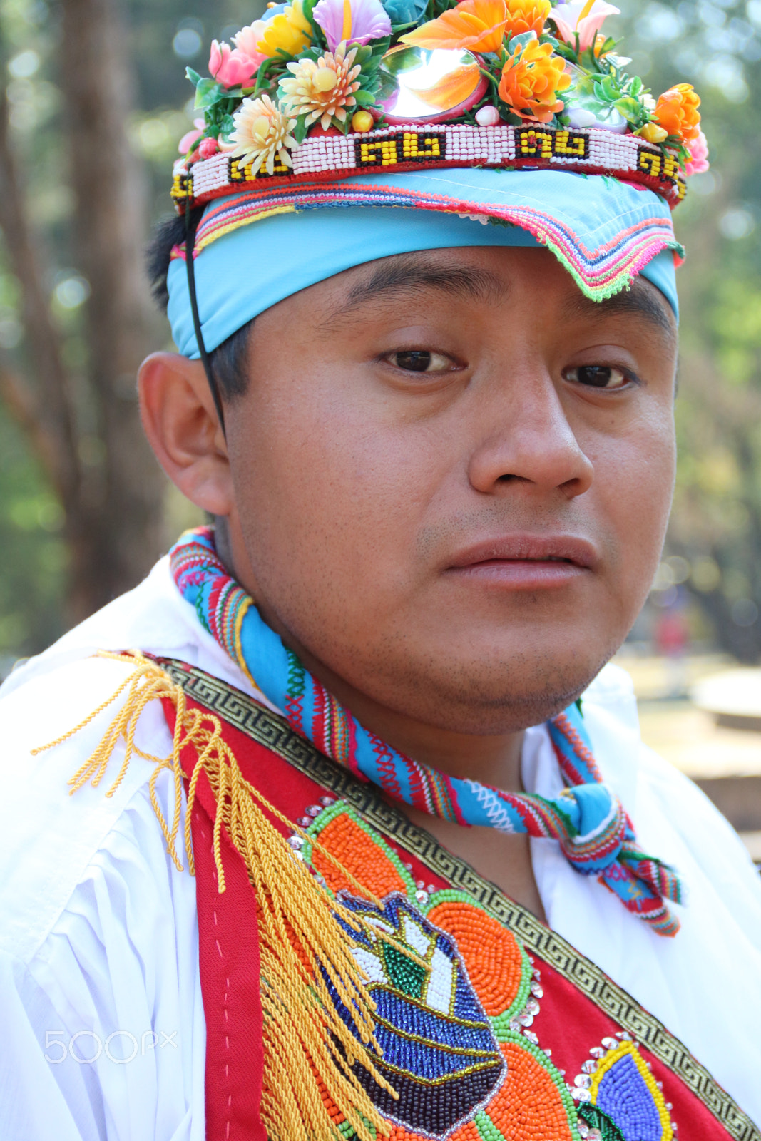 Canon EOS 750D (EOS Rebel T6i / EOS Kiss X8i) sample photo. Palo volador 8133 photography