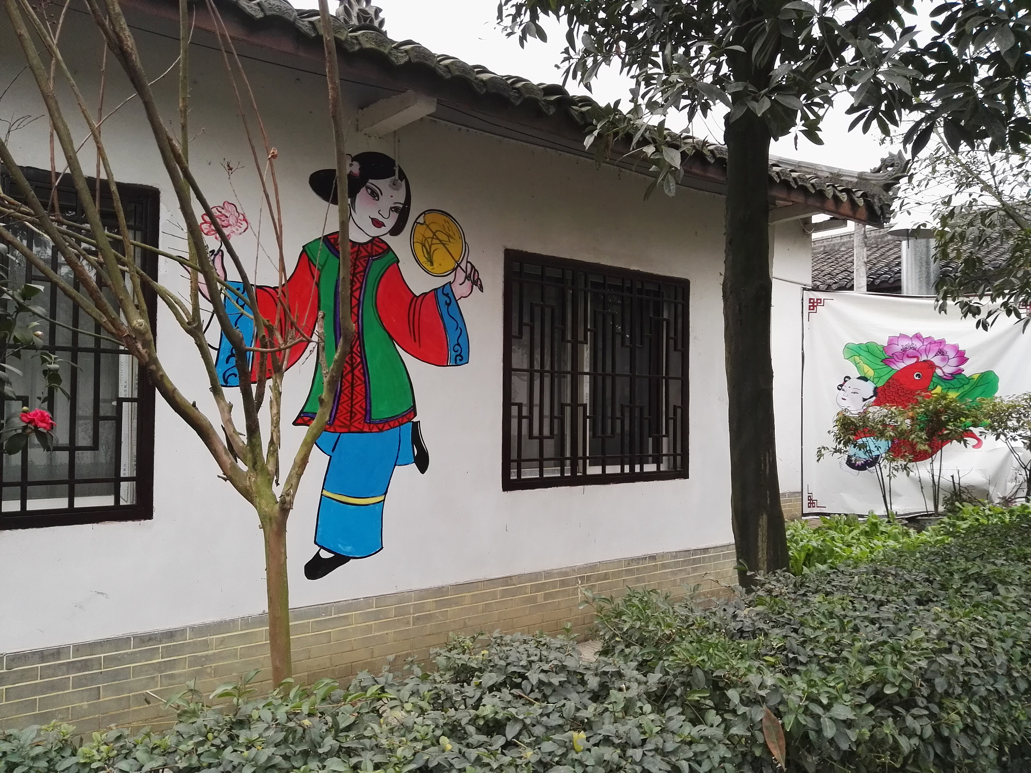 HUAWEI DAV sample photo