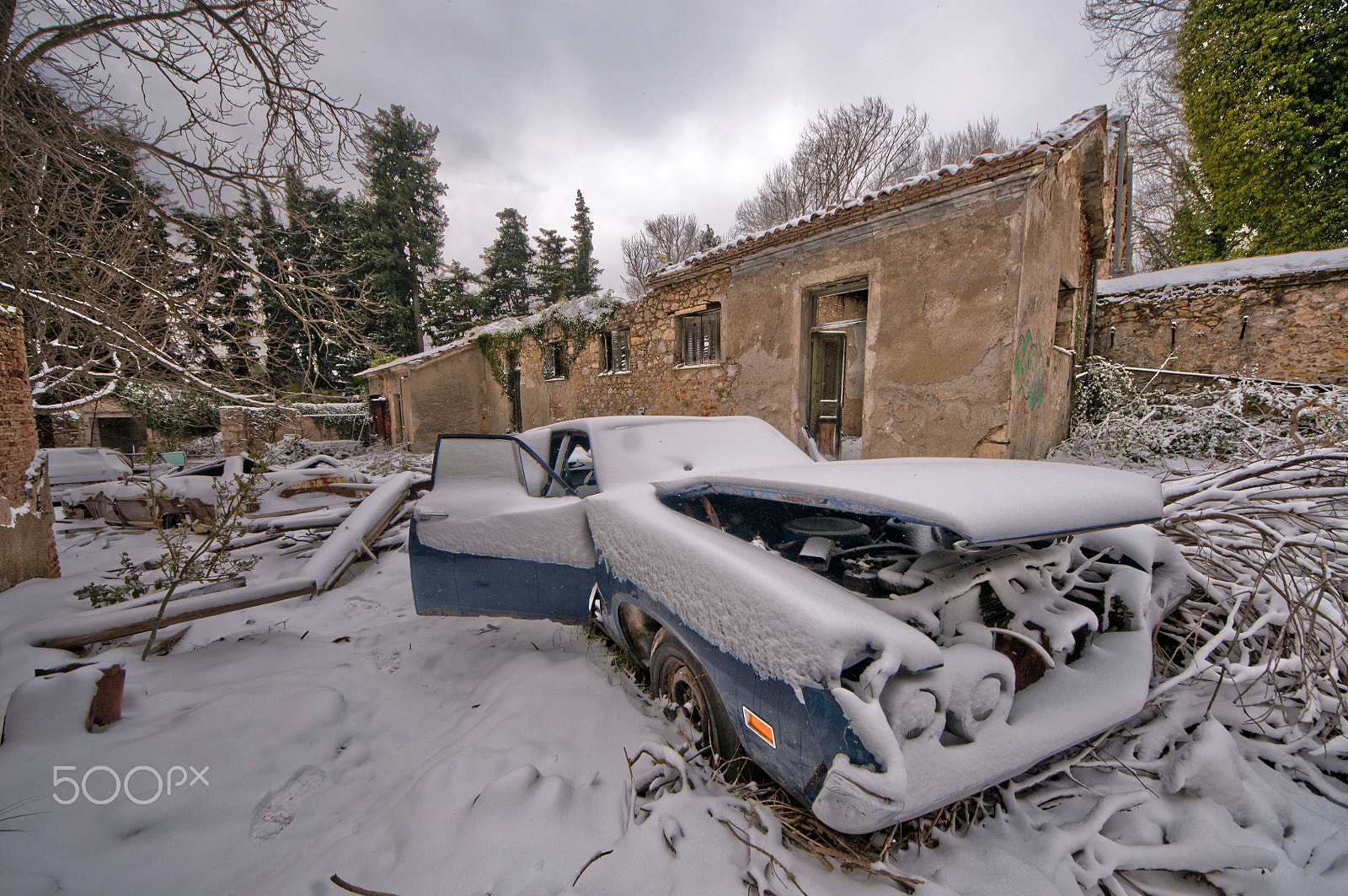 Sigma 8-16mm F4.5-5.6 DC HSM sample photo. The king's old car photography
