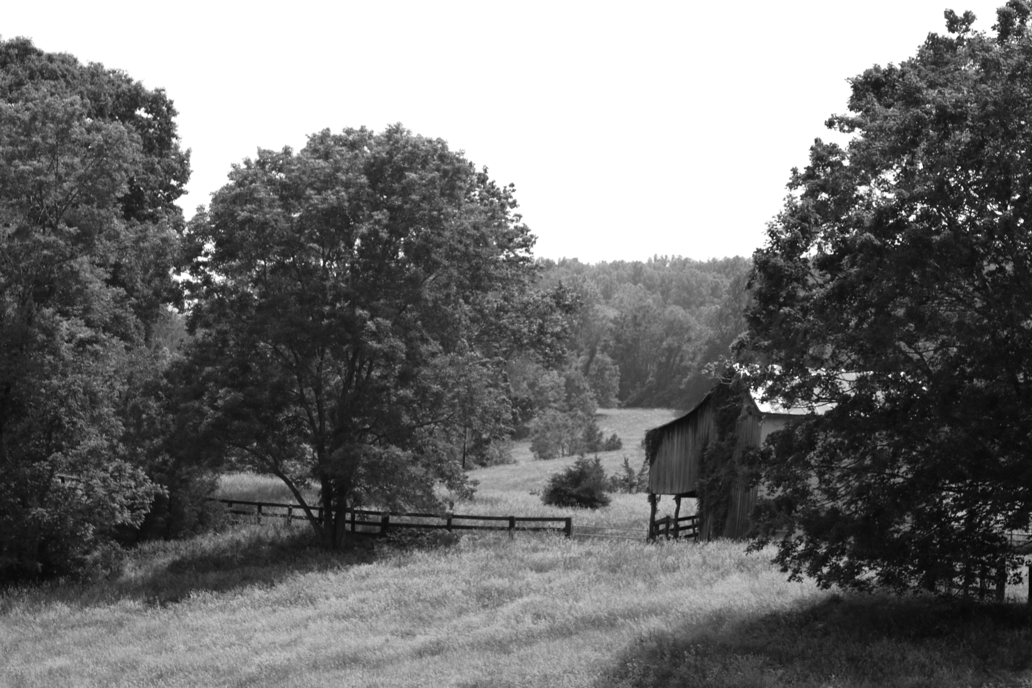 Canon EOS 760D (EOS Rebel T6s / EOS 8000D) sample photo. The old hidden shed photography