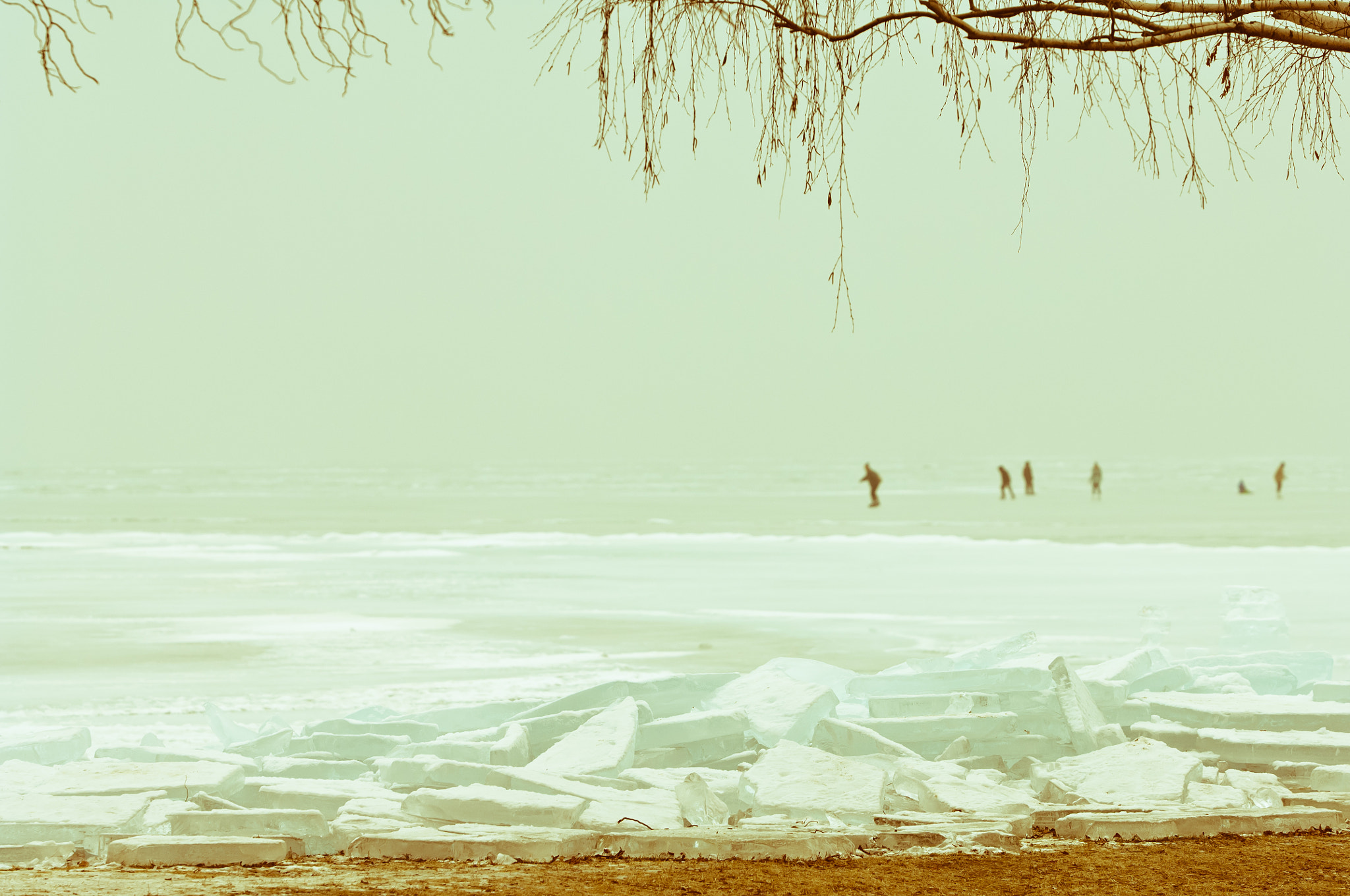 Nikon D2X + AF-S Zoom-Nikkor 80-200mm f/2.8D IF-ED sample photo. Winter scene at balaton lake with frozen ice-pack photography