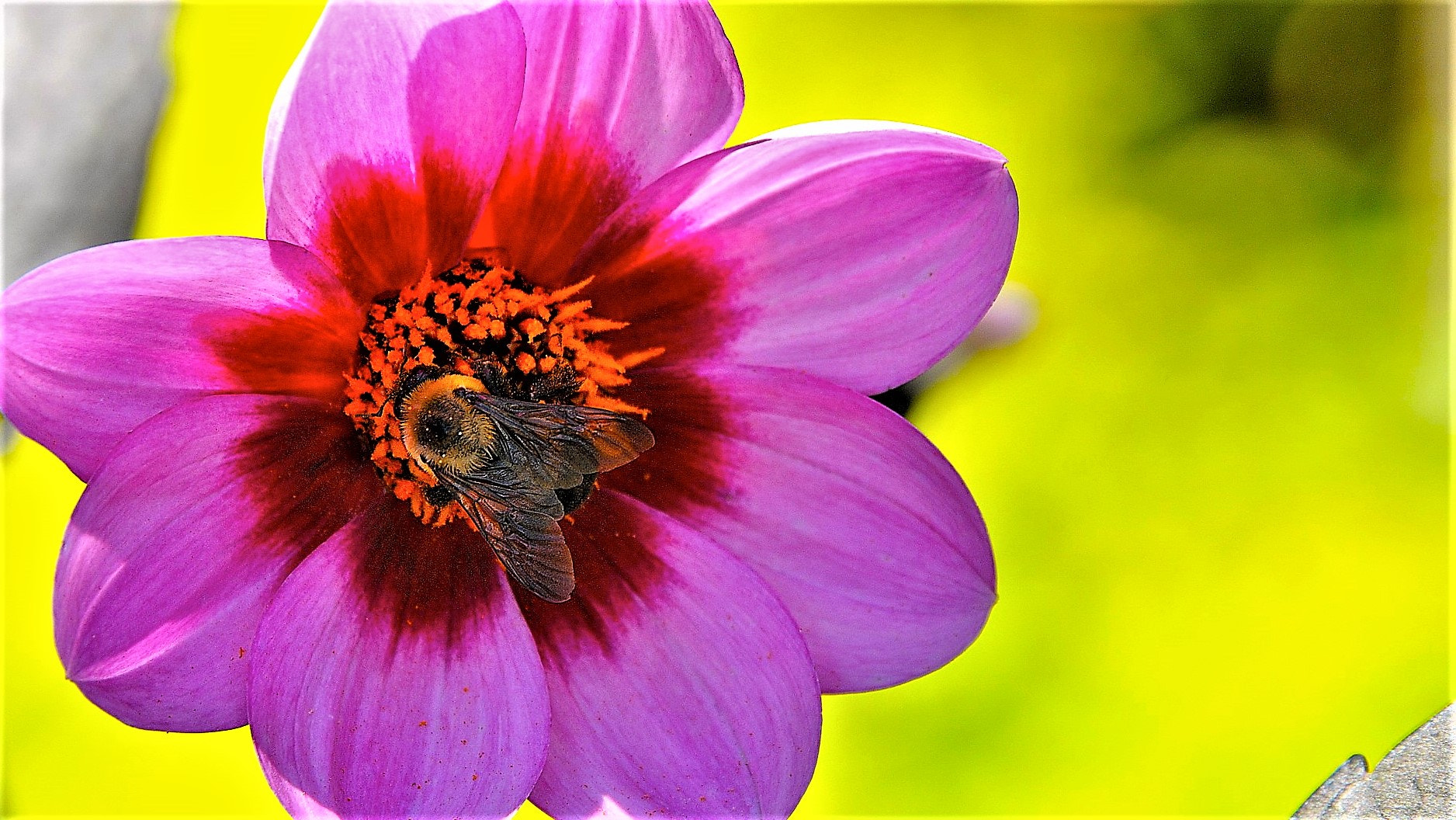 Nikon D300 sample photo. The visitor photography
