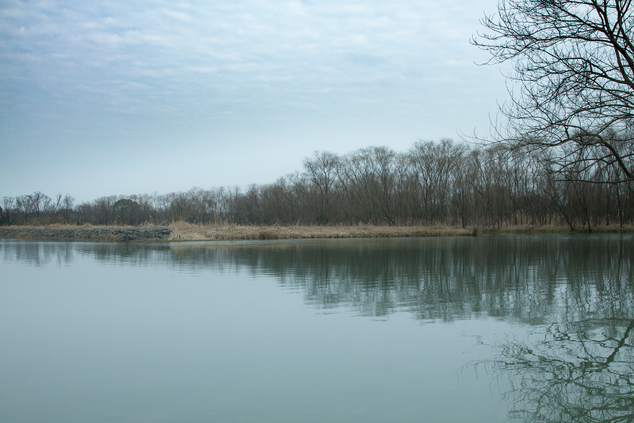 Canon EF 24-70mm F2.8L II USM sample photo. Xixi wetland park of hangzhou photography