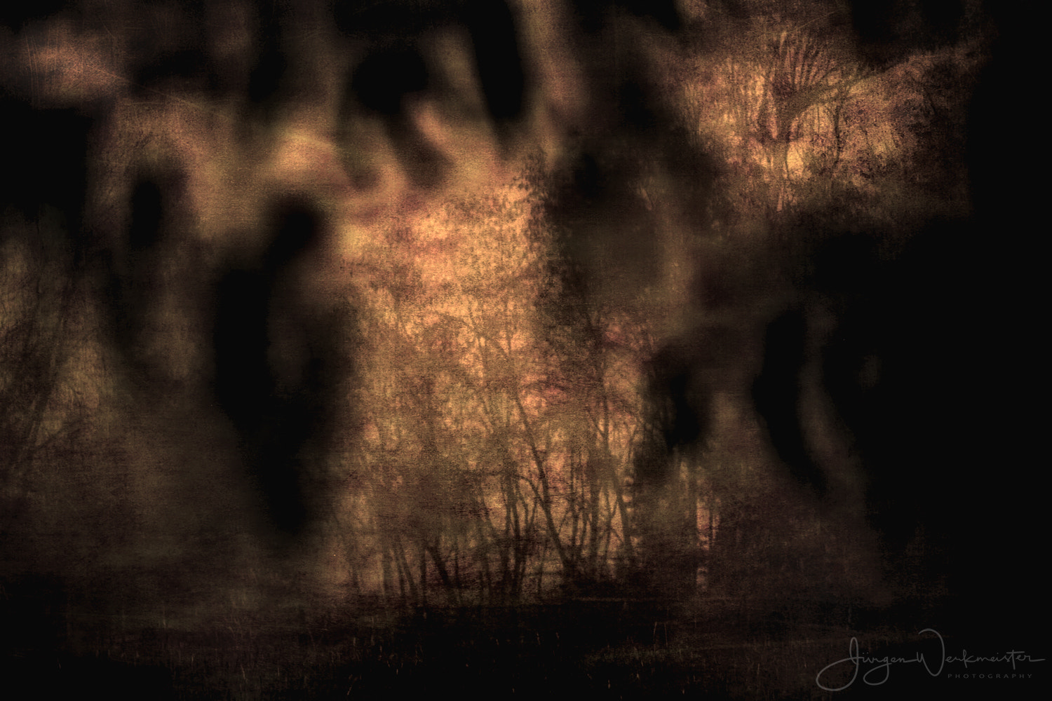 Canon EF 70-200mm F2.8L IS USM sample photo. Dark forest photography