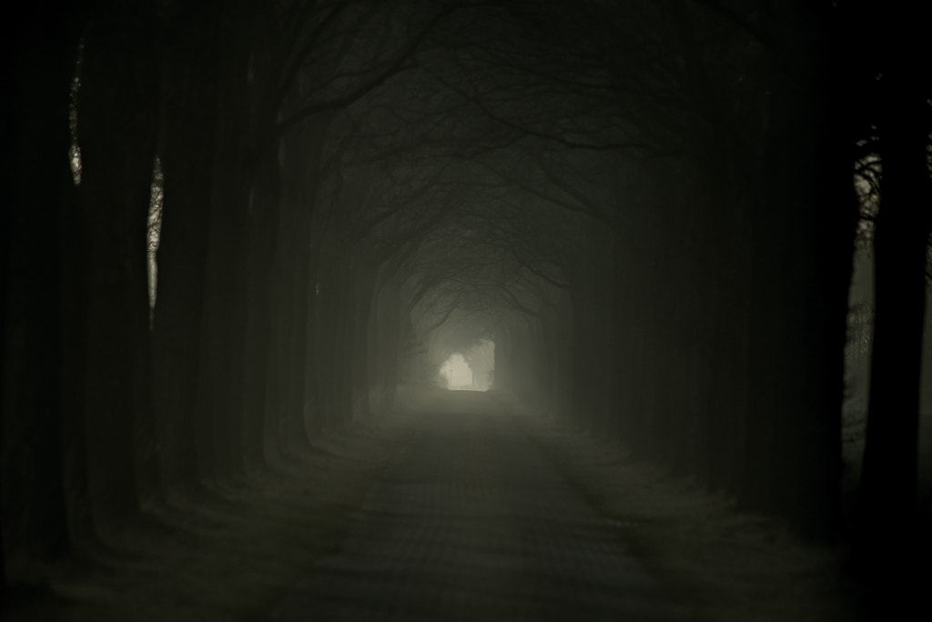 Nikon D610 + Nikon AF-S Nikkor 300mm F4D ED-IF sample photo. The tunnel photography