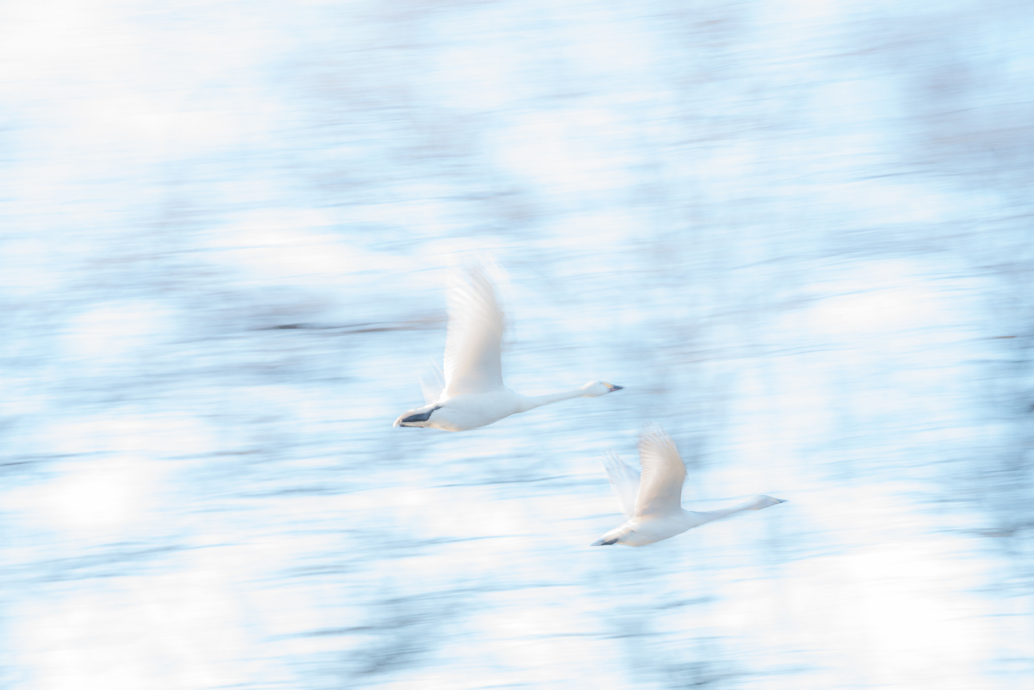 Nikon D800 sample photo. To the sky photography