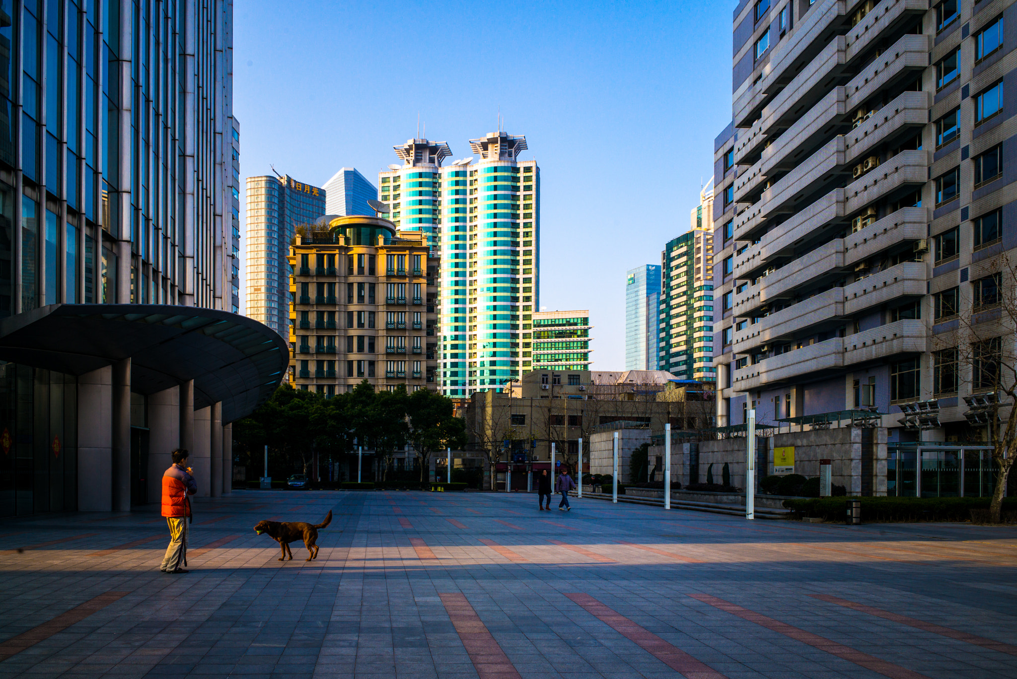 Leica Elmarit-M 28mm F2.8 ASPH sample photo. Man with a dog photography